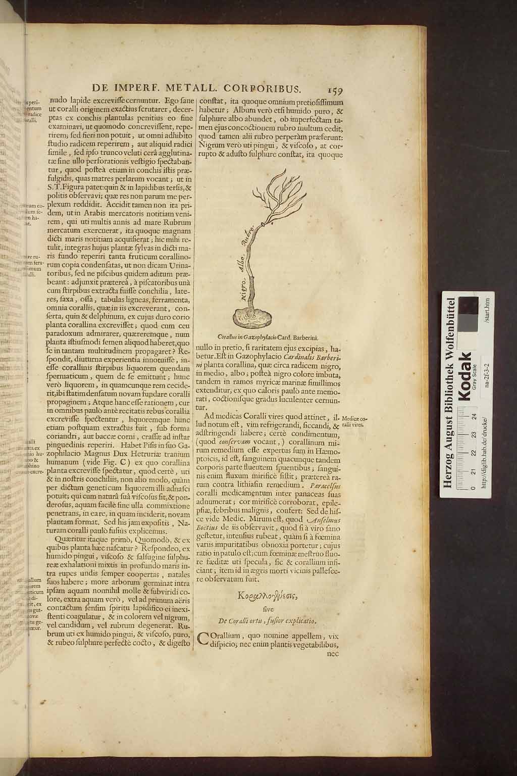 http://diglib.hab.de/drucke/na-2f-3-2/00177.jpg
