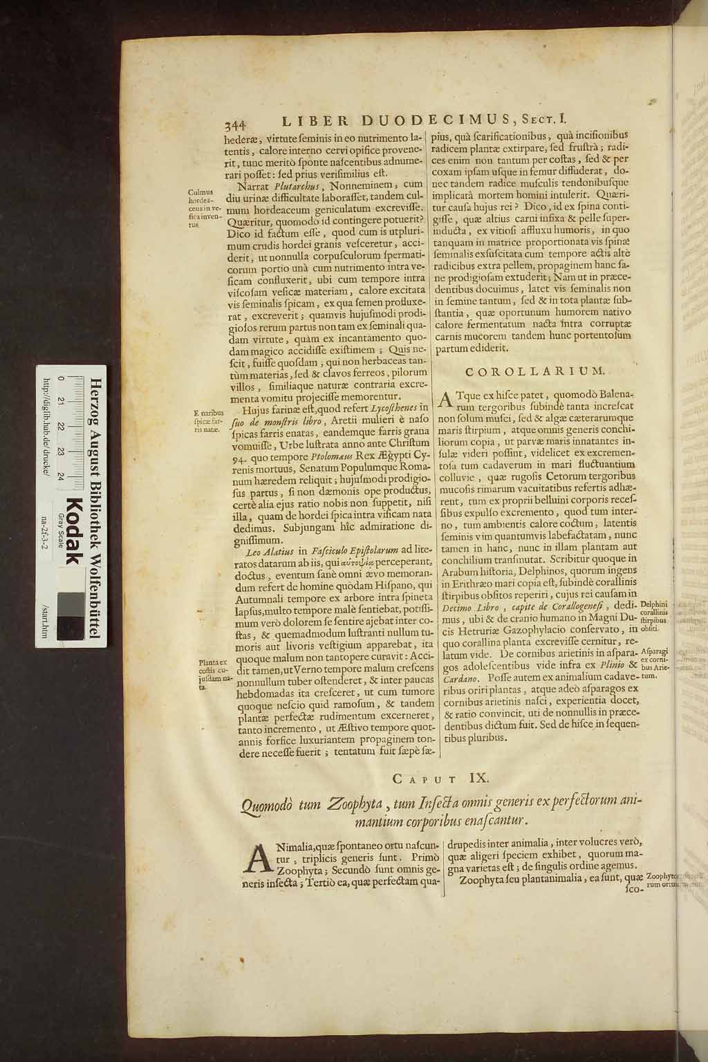 http://diglib.hab.de/drucke/na-2f-3-2/00366.jpg