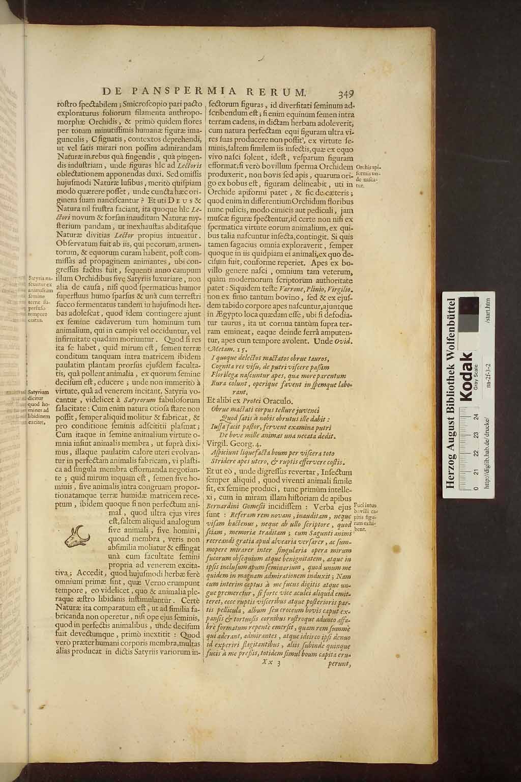http://diglib.hab.de/drucke/na-2f-3-2/00371.jpg