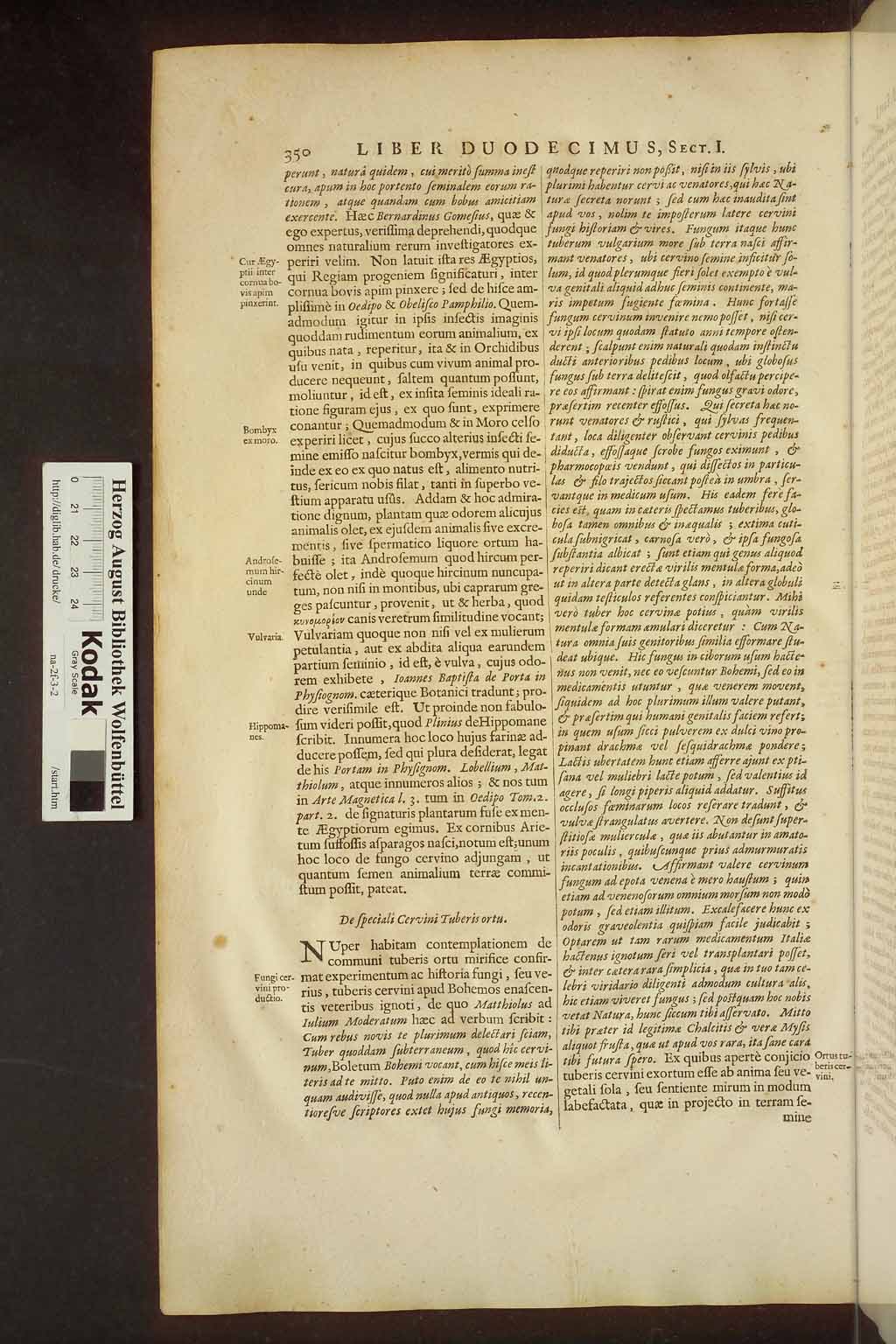 http://diglib.hab.de/drucke/na-2f-3-2/00372.jpg