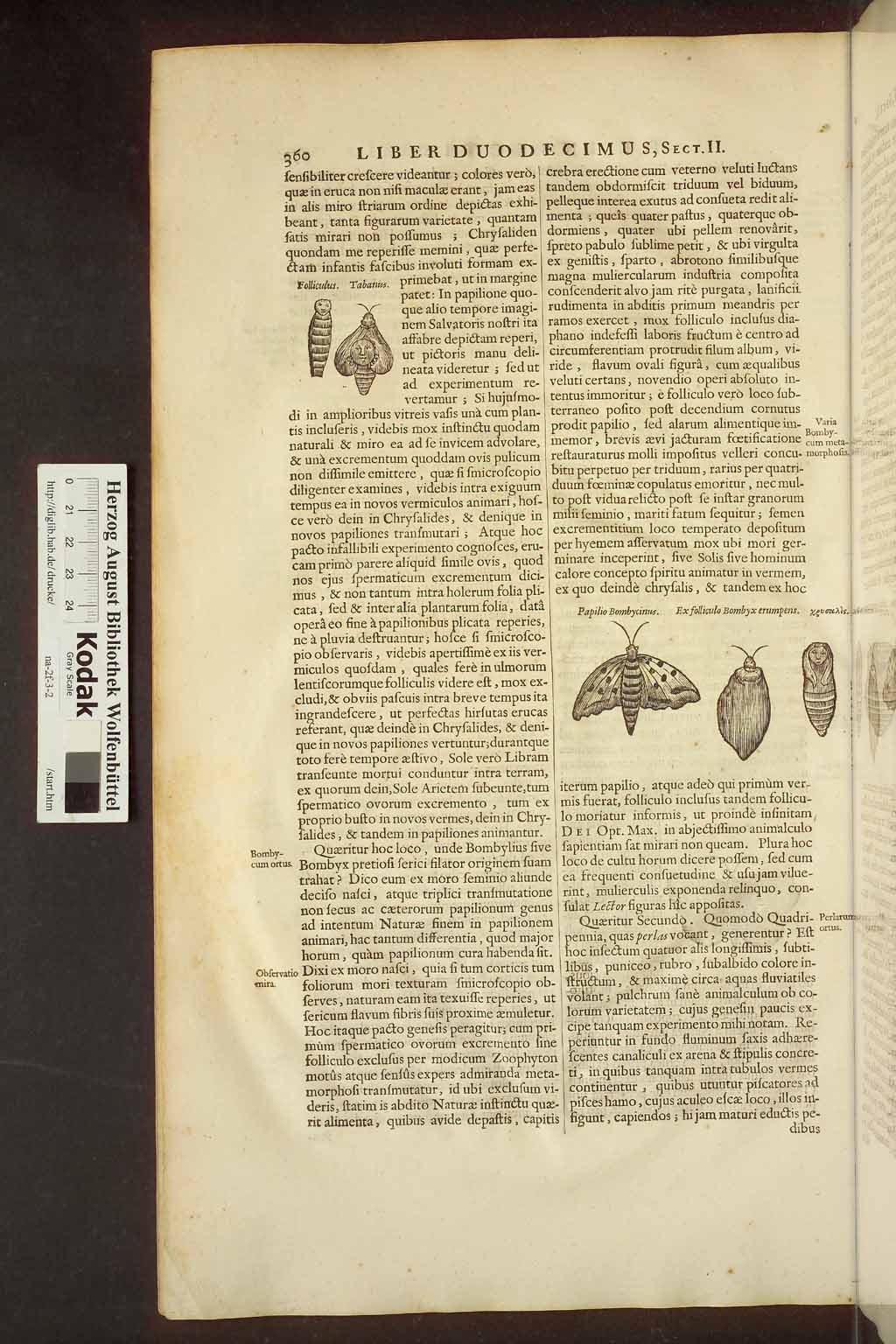 http://diglib.hab.de/drucke/na-2f-3-2/00382.jpg