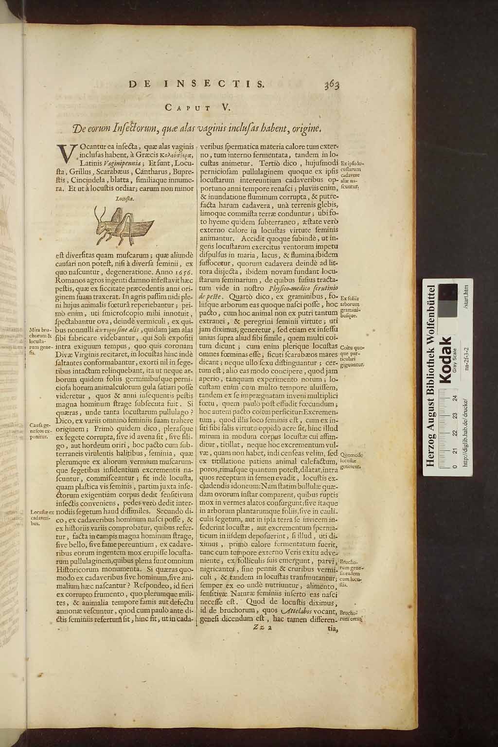 http://diglib.hab.de/drucke/na-2f-3-2/00385.jpg