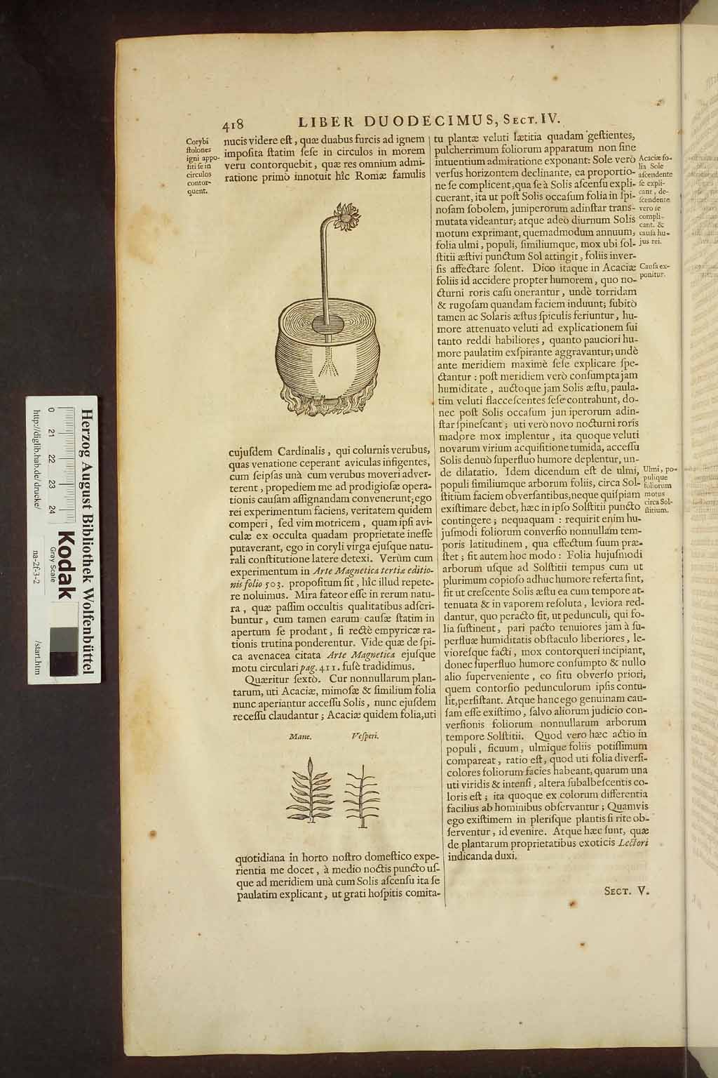 http://diglib.hab.de/drucke/na-2f-3-2/00458.jpg