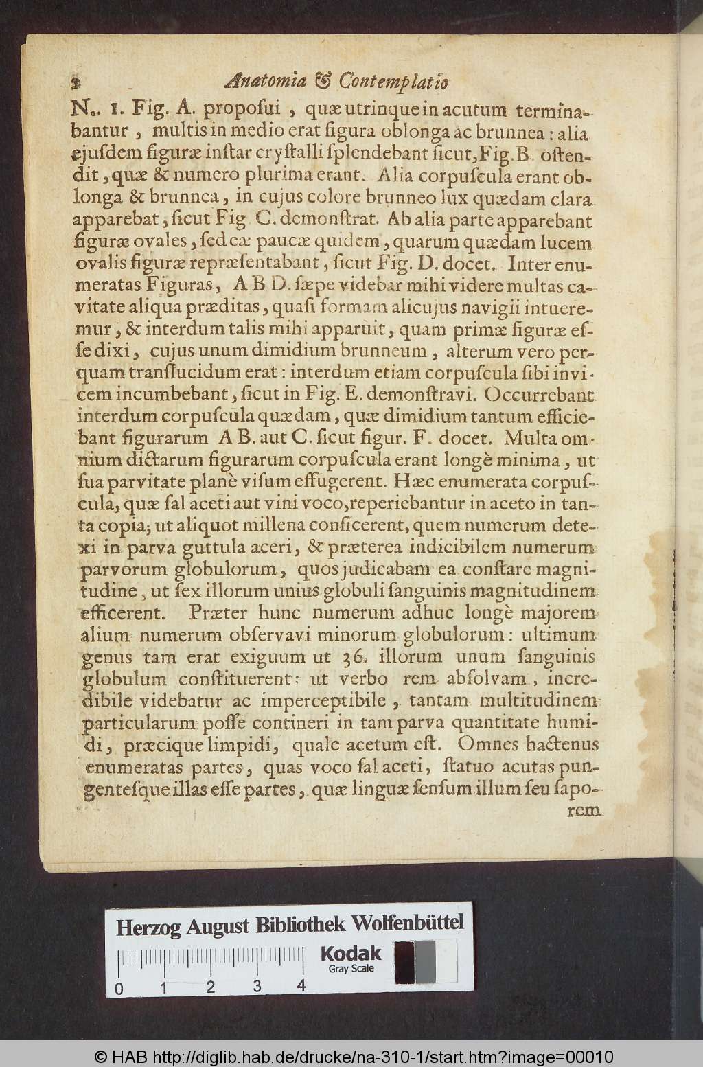 http://diglib.hab.de/drucke/na-310-1/00010.jpg