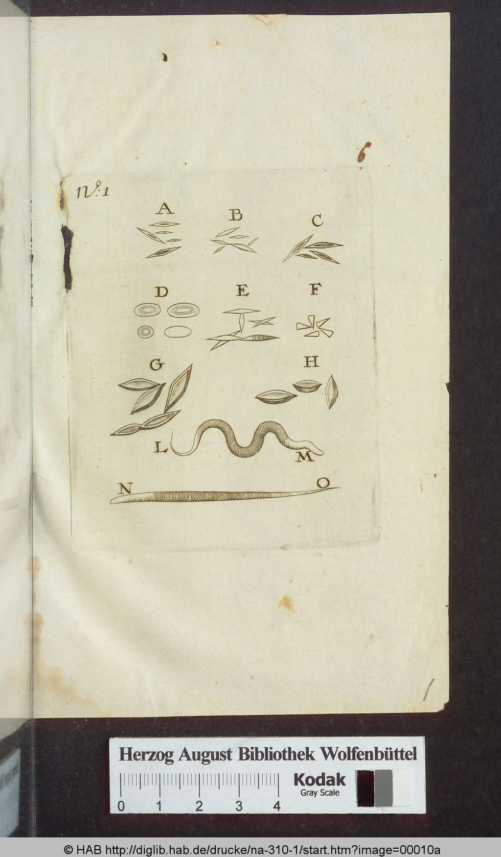 http://diglib.hab.de/drucke/na-310-1/00010a.jpg