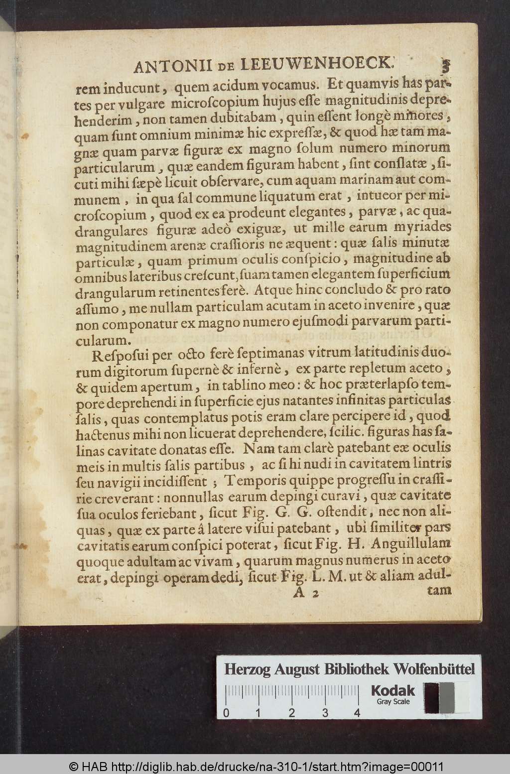 http://diglib.hab.de/drucke/na-310-1/00011.jpg