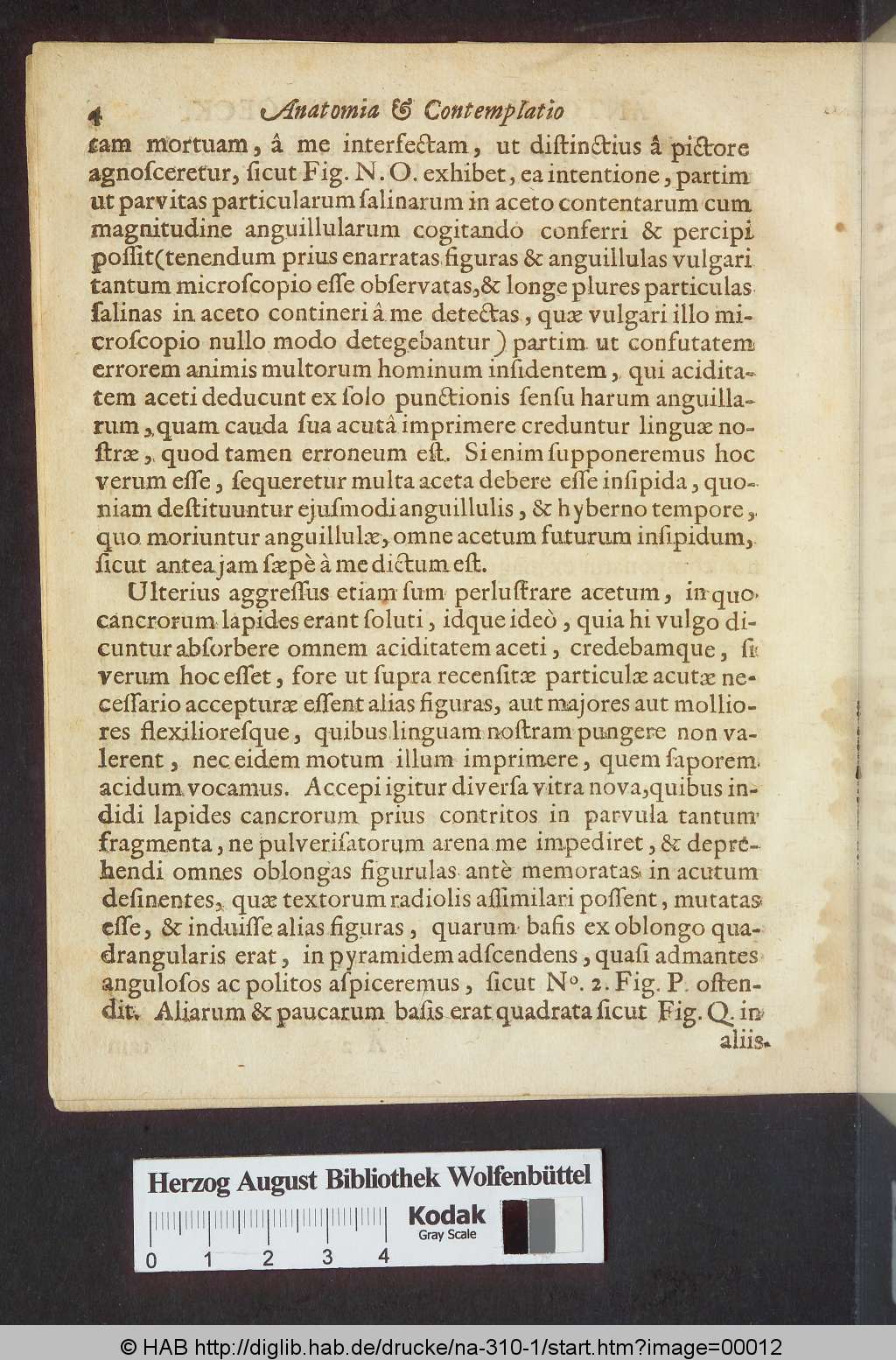 http://diglib.hab.de/drucke/na-310-1/00012.jpg