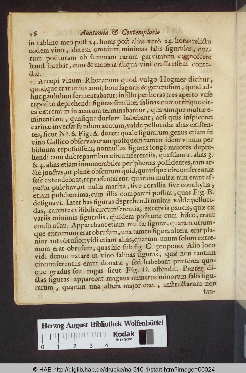 http://diglib.hab.de/drucke/na-310-1/00024.jpg