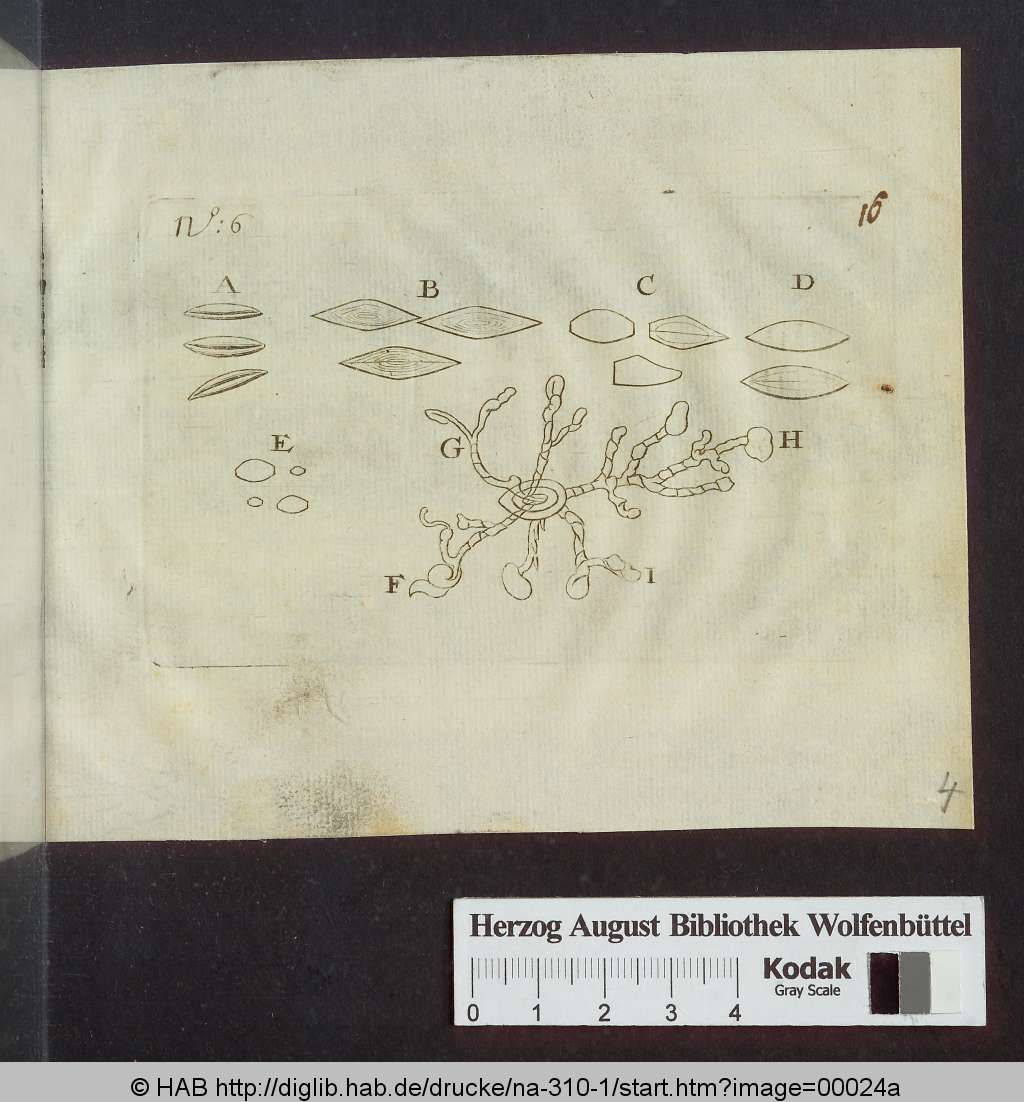 http://diglib.hab.de/drucke/na-310-1/00024a.jpg