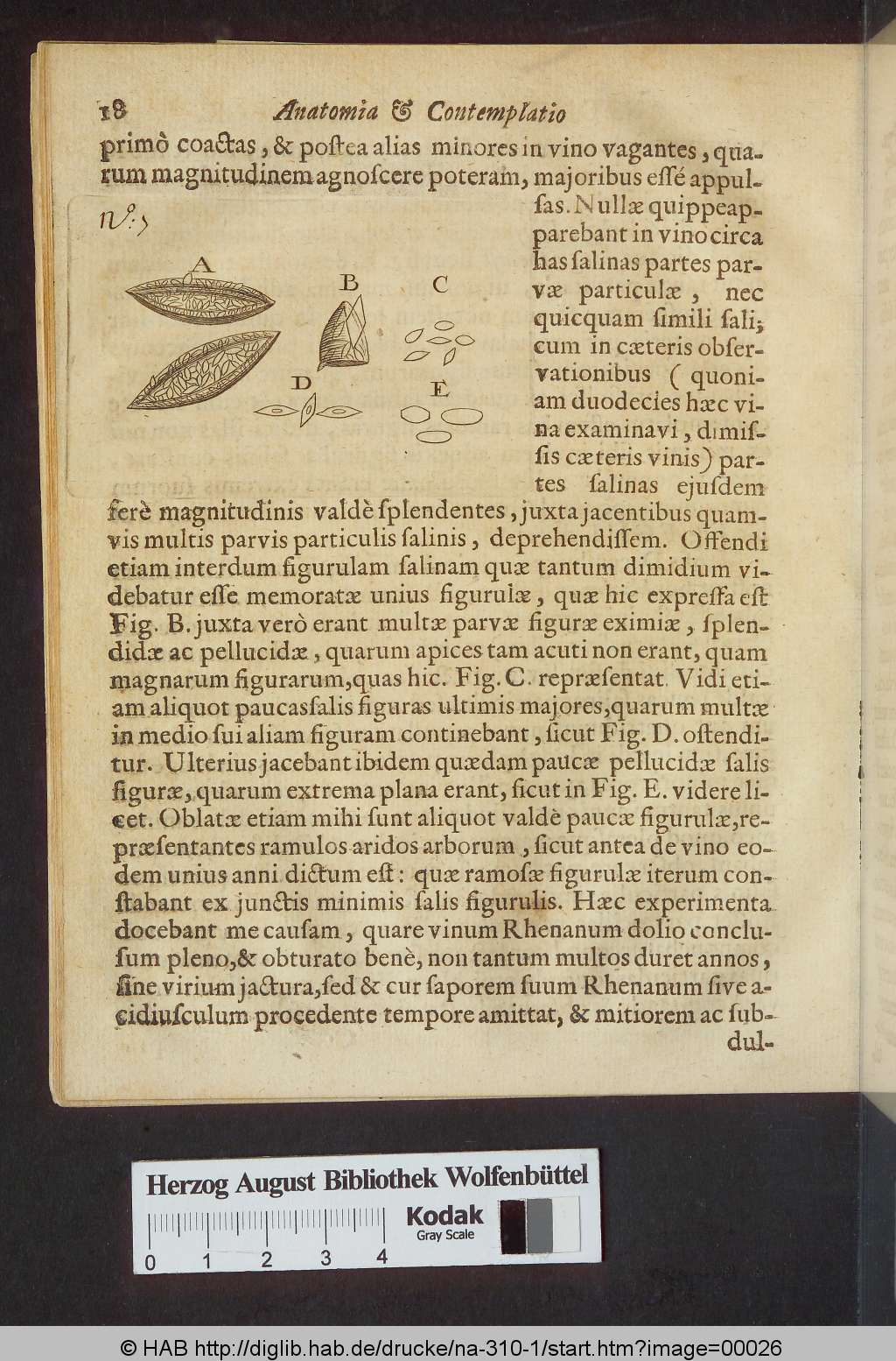 http://diglib.hab.de/drucke/na-310-1/00026.jpg