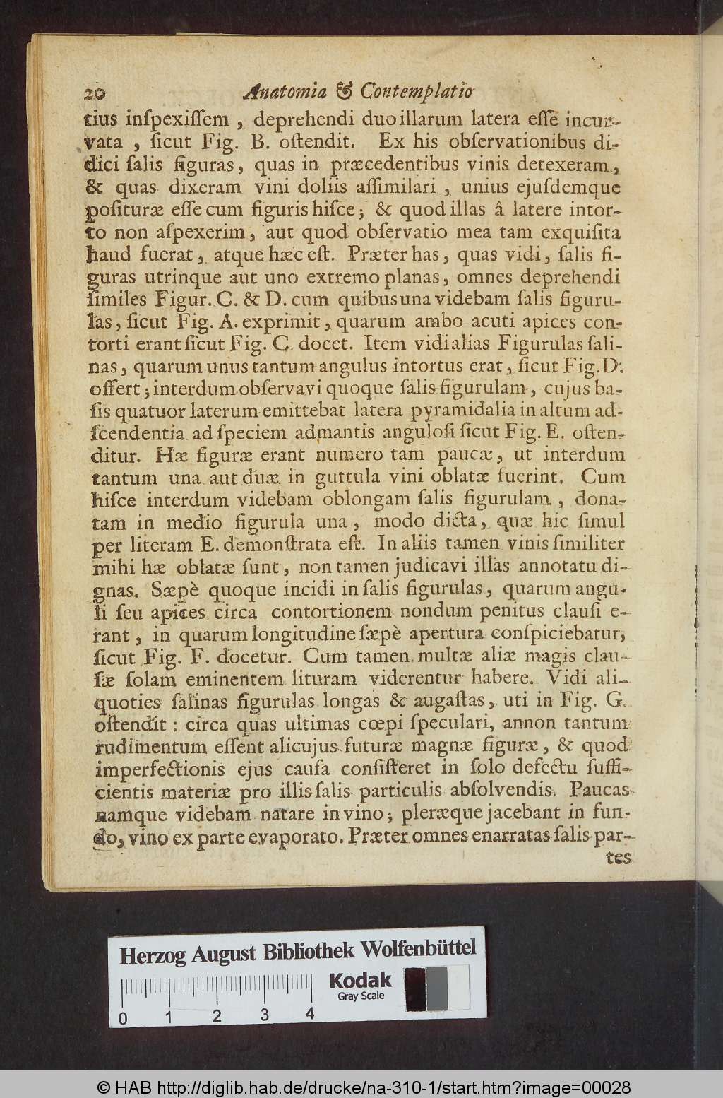 http://diglib.hab.de/drucke/na-310-1/00028.jpg