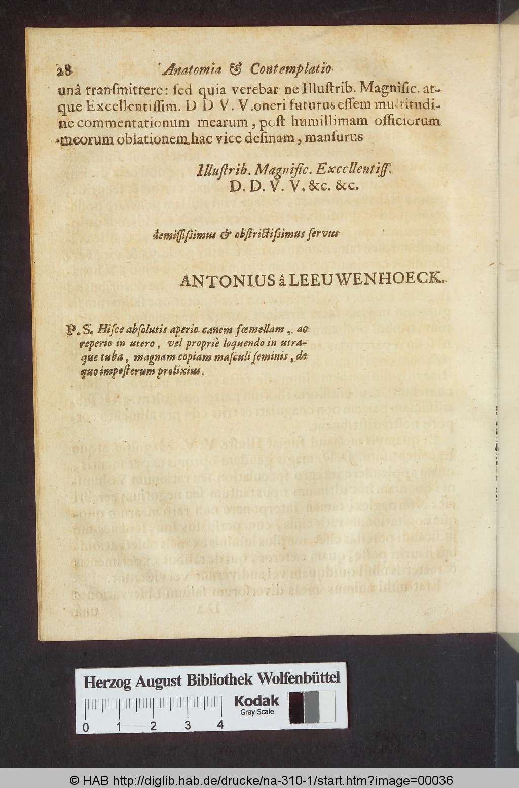http://diglib.hab.de/drucke/na-310-1/00036.jpg