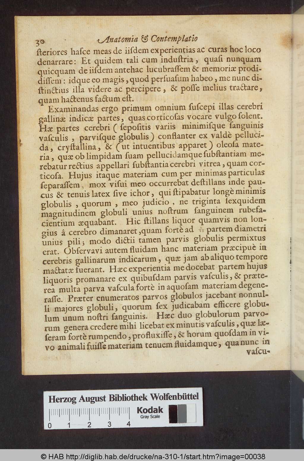 http://diglib.hab.de/drucke/na-310-1/00038.jpg