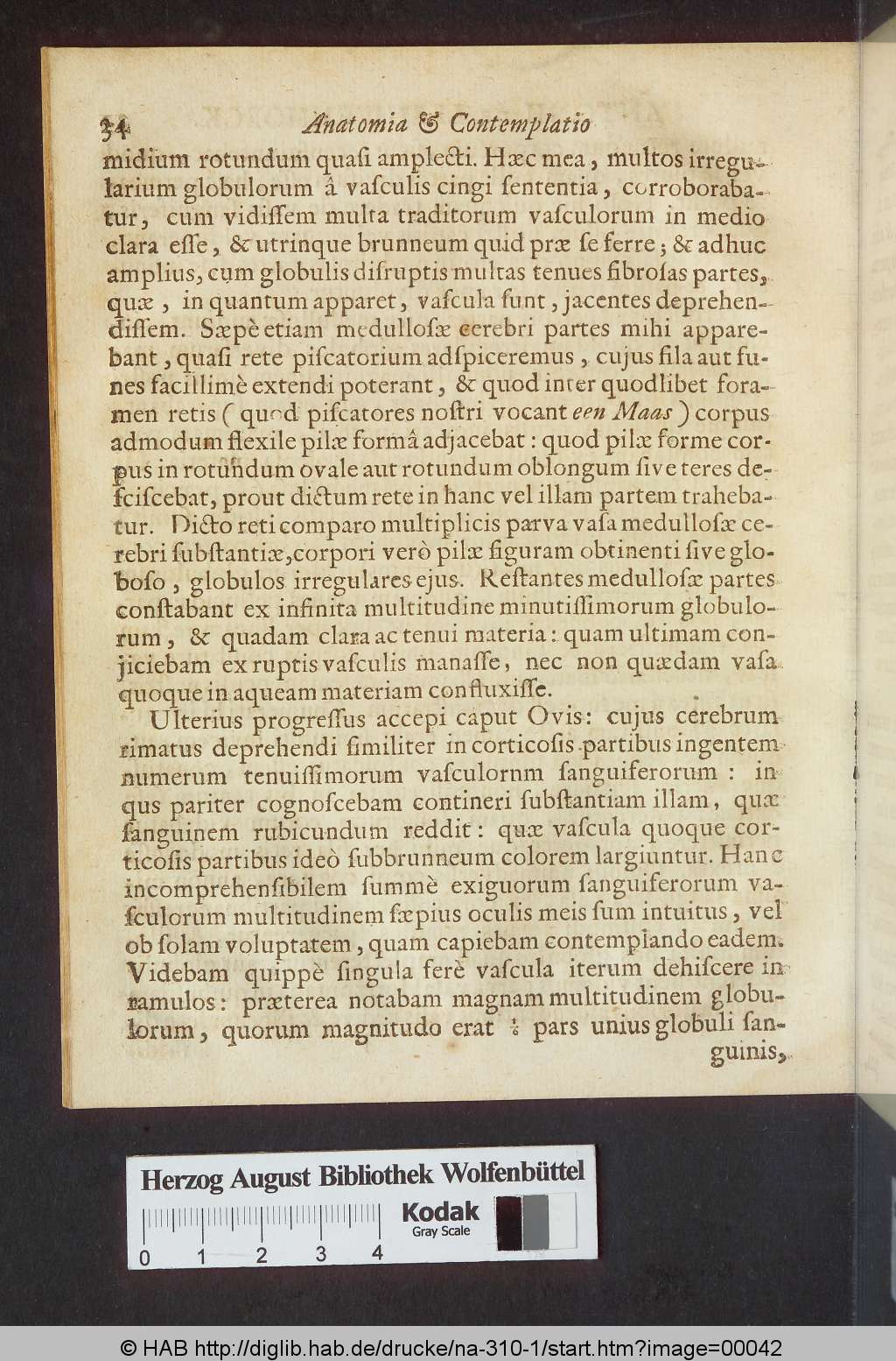 http://diglib.hab.de/drucke/na-310-1/00042.jpg