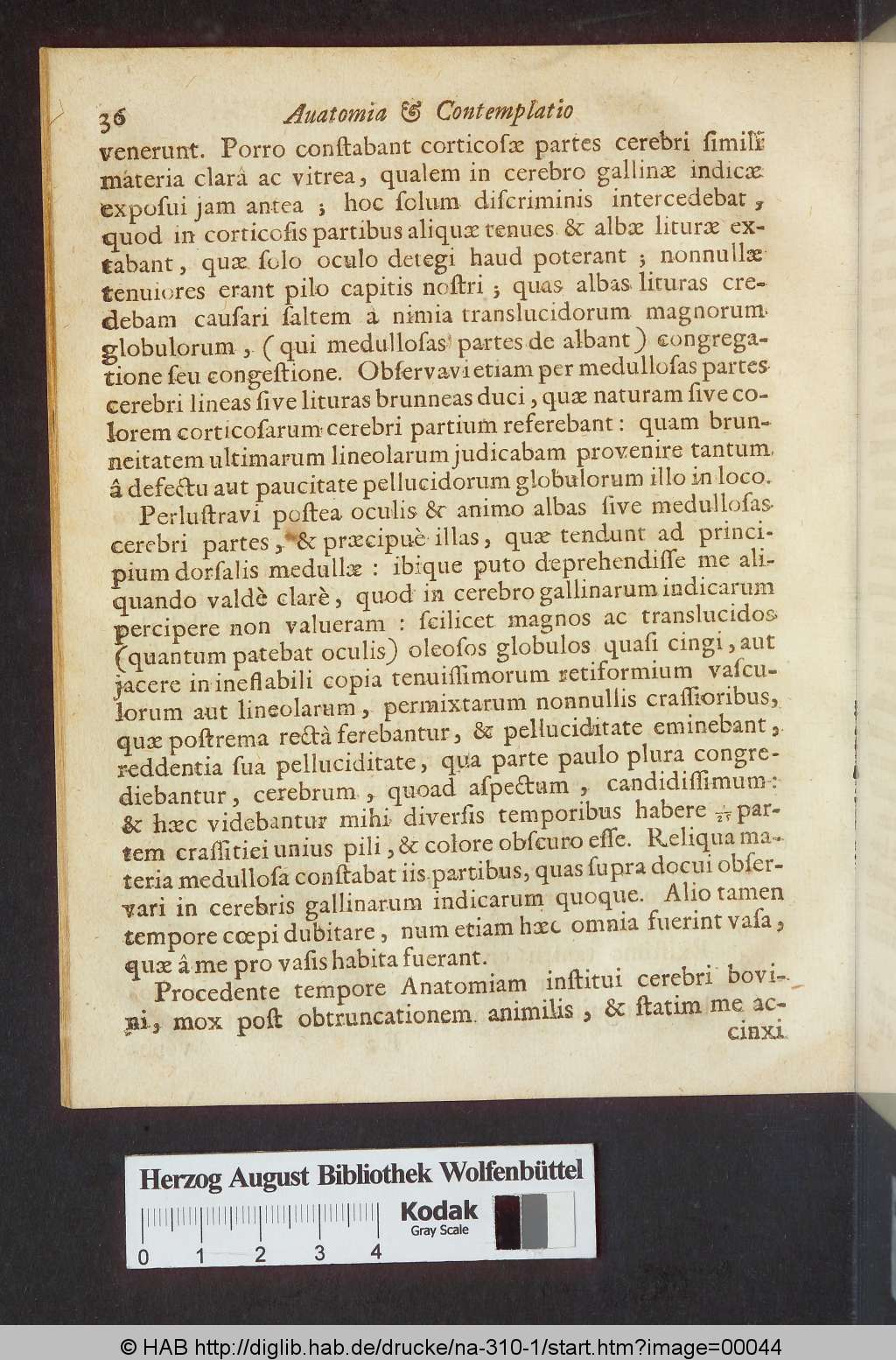 http://diglib.hab.de/drucke/na-310-1/00044.jpg