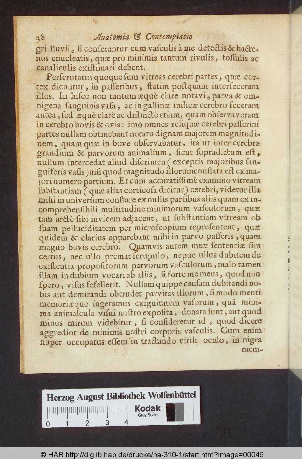 http://diglib.hab.de/drucke/na-310-1/00046.jpg