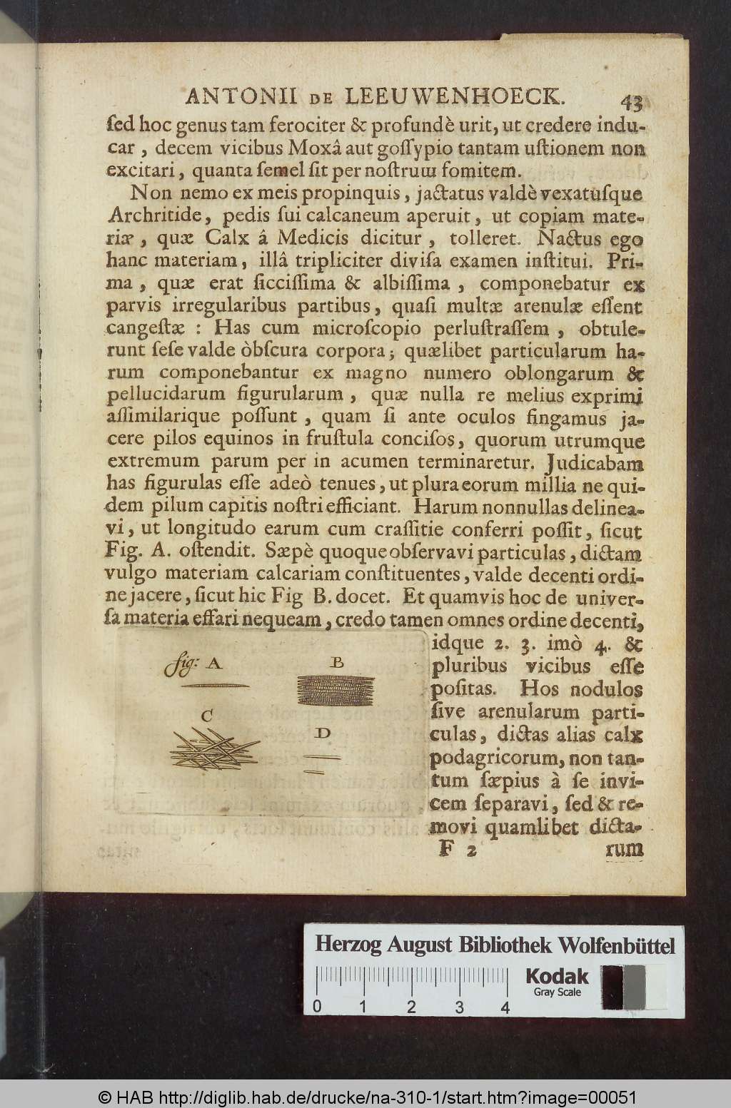 http://diglib.hab.de/drucke/na-310-1/00051.jpg