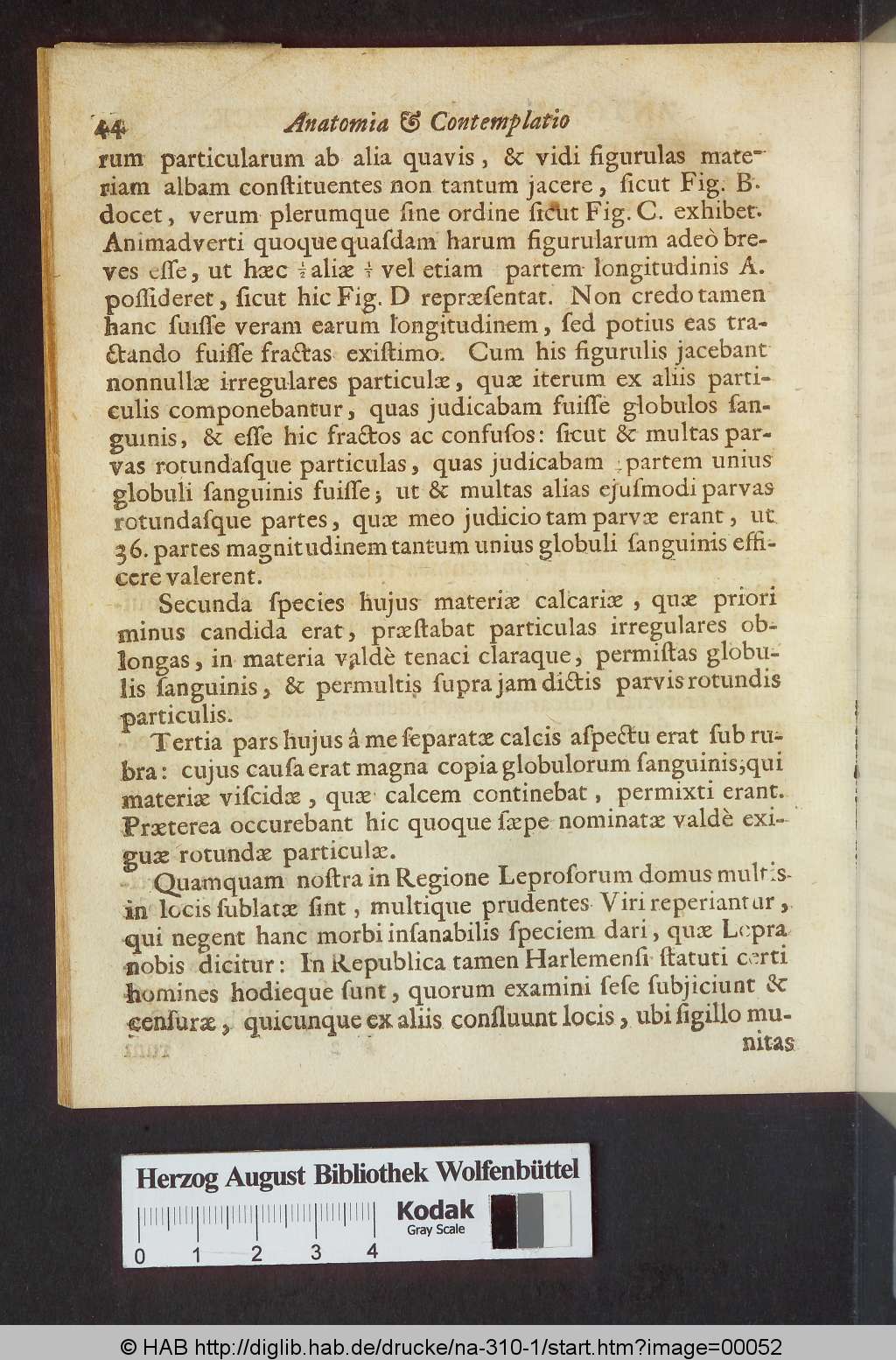 http://diglib.hab.de/drucke/na-310-1/00052.jpg