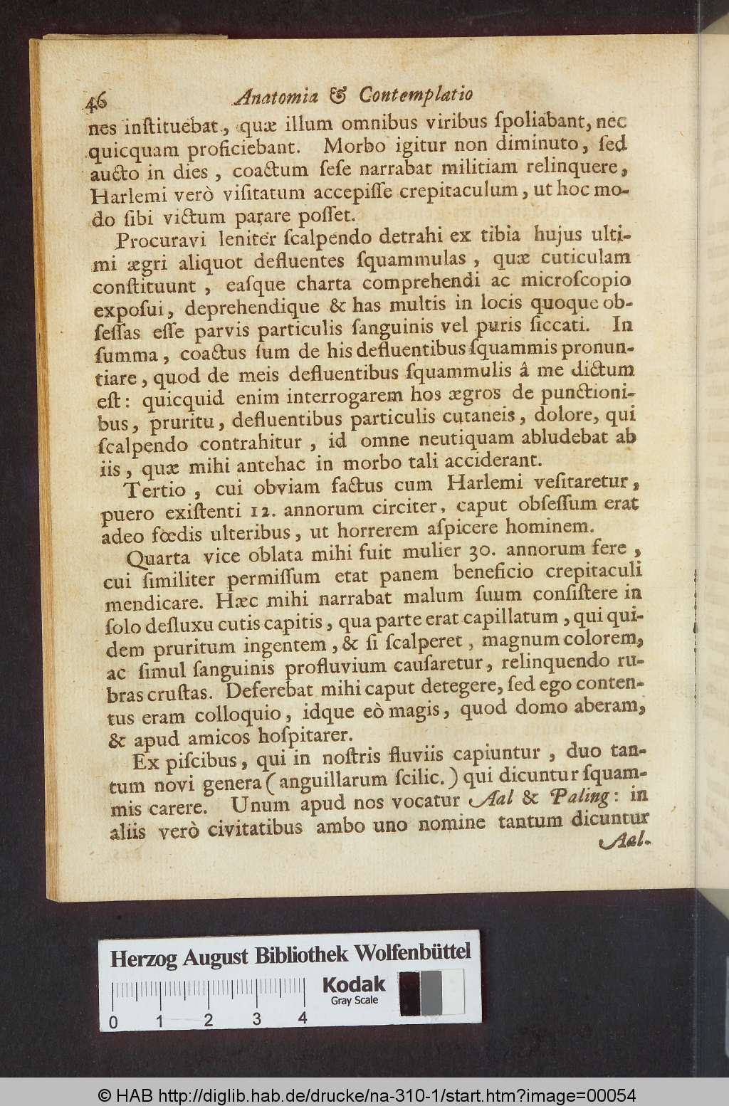 http://diglib.hab.de/drucke/na-310-1/00054.jpg