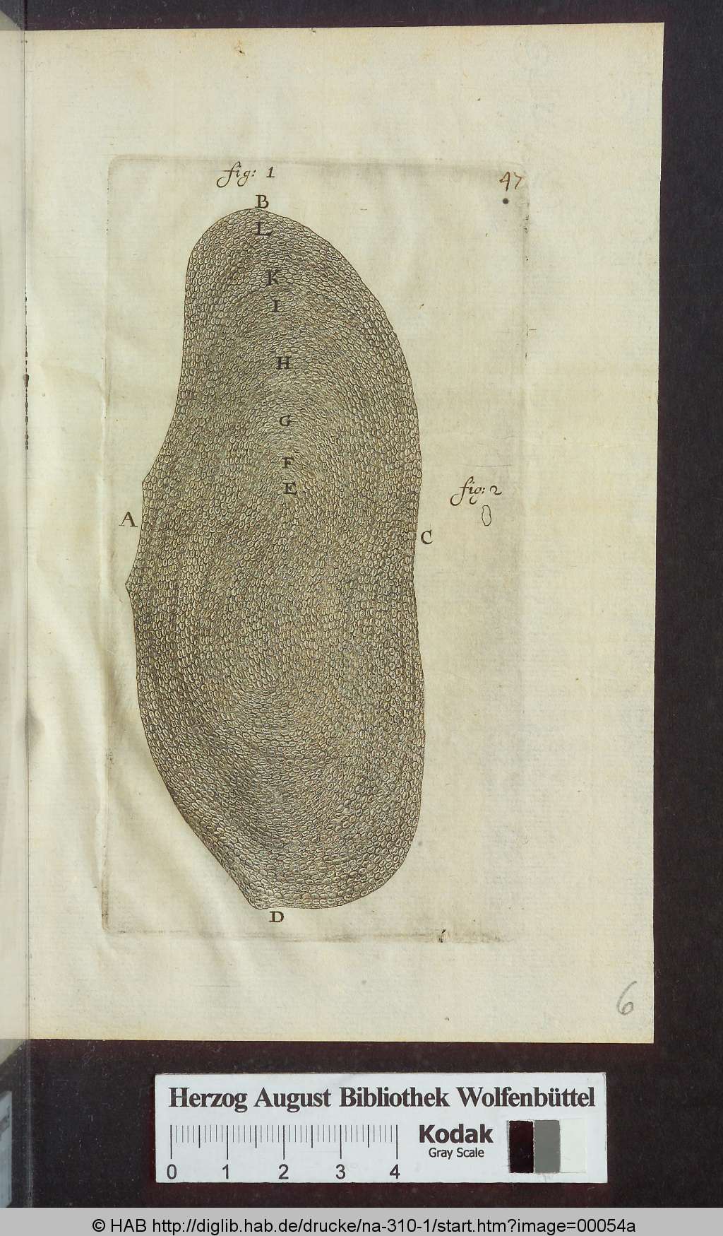 http://diglib.hab.de/drucke/na-310-1/00054a.jpg