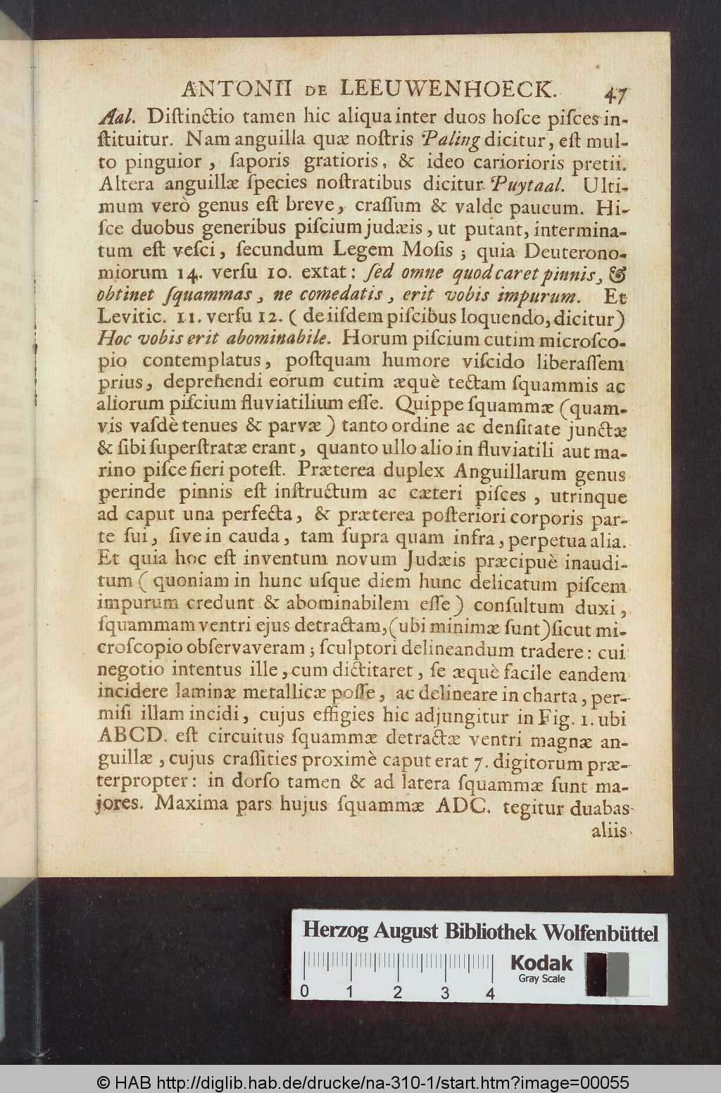 http://diglib.hab.de/drucke/na-310-1/00055.jpg