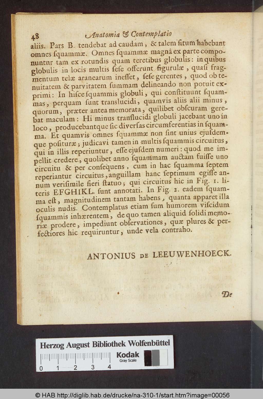 http://diglib.hab.de/drucke/na-310-1/00056.jpg