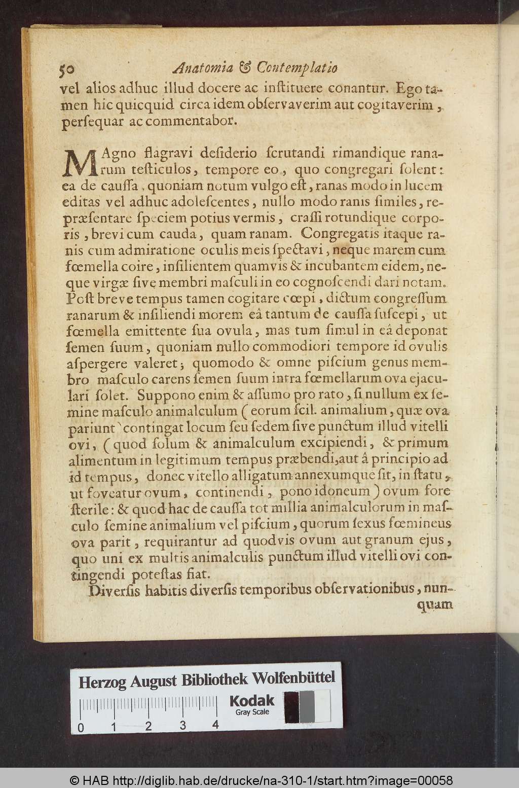 http://diglib.hab.de/drucke/na-310-1/00058.jpg