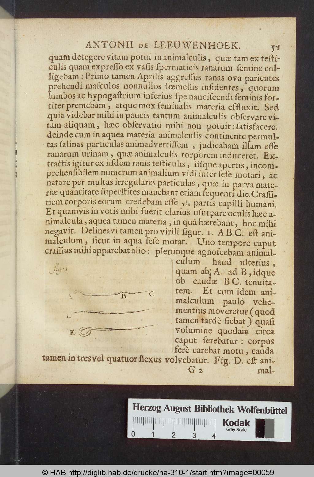 http://diglib.hab.de/drucke/na-310-1/00059.jpg