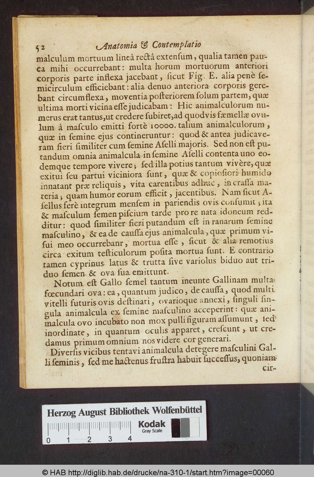 http://diglib.hab.de/drucke/na-310-1/00060.jpg