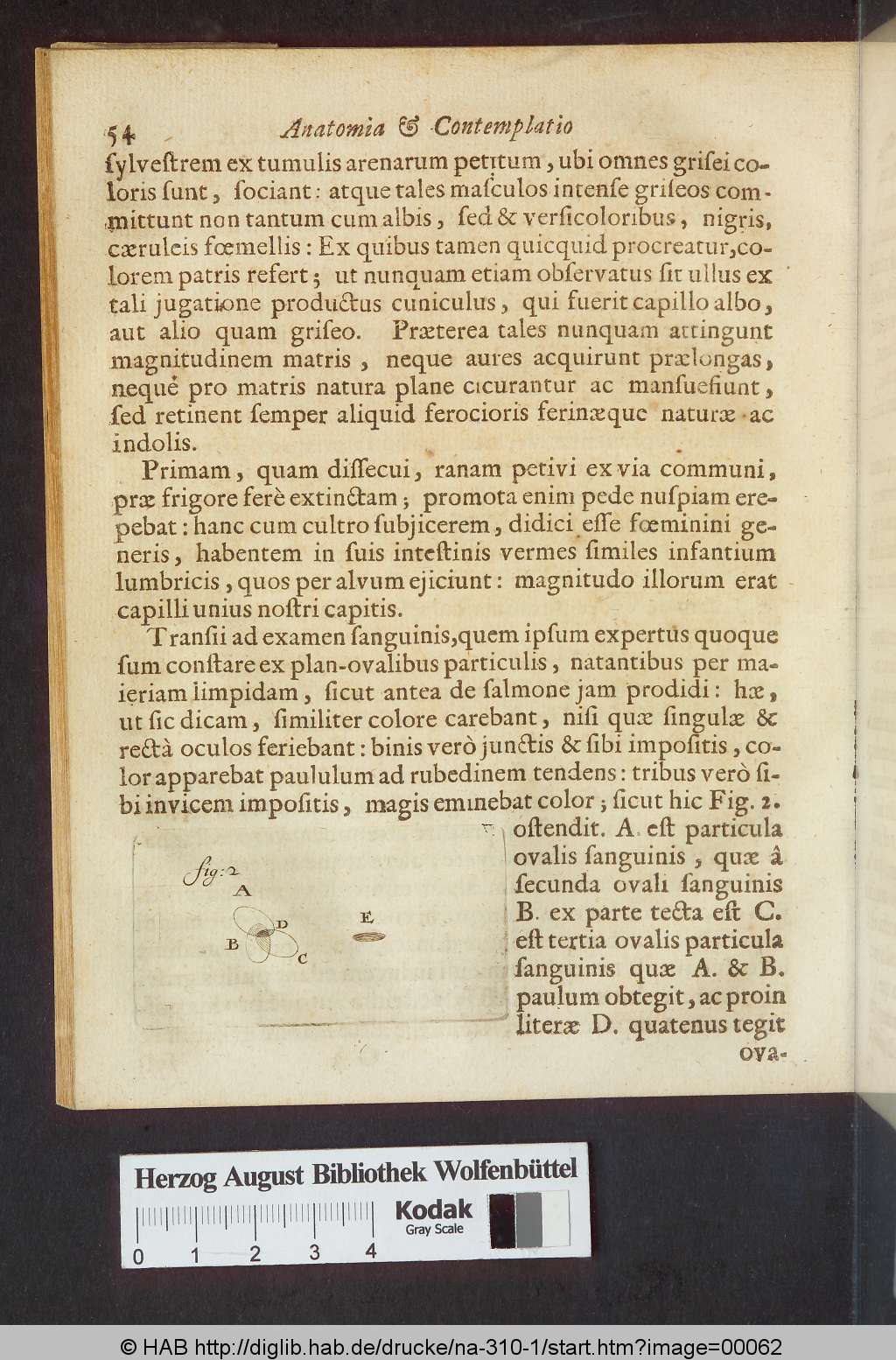 http://diglib.hab.de/drucke/na-310-1/00062.jpg