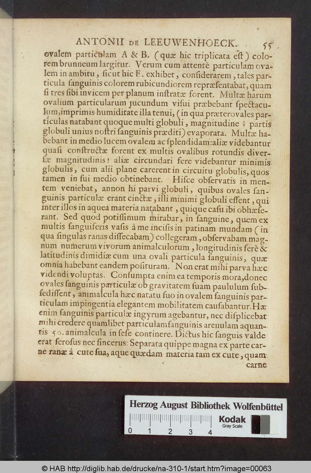 http://diglib.hab.de/drucke/na-310-1/00063.jpg