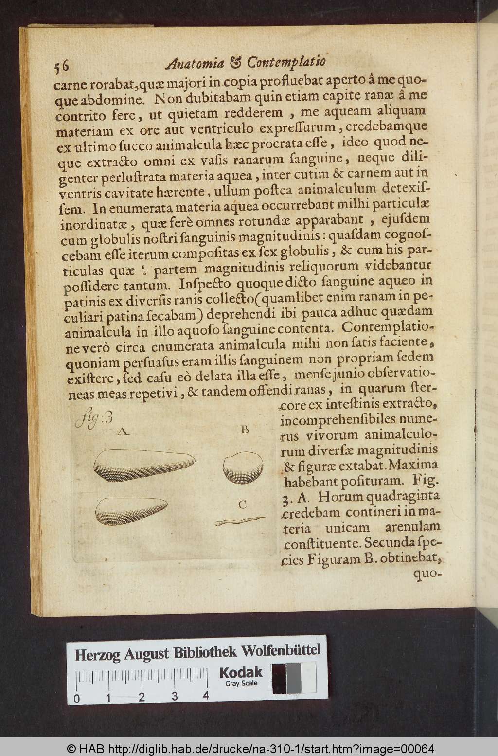 http://diglib.hab.de/drucke/na-310-1/00064.jpg