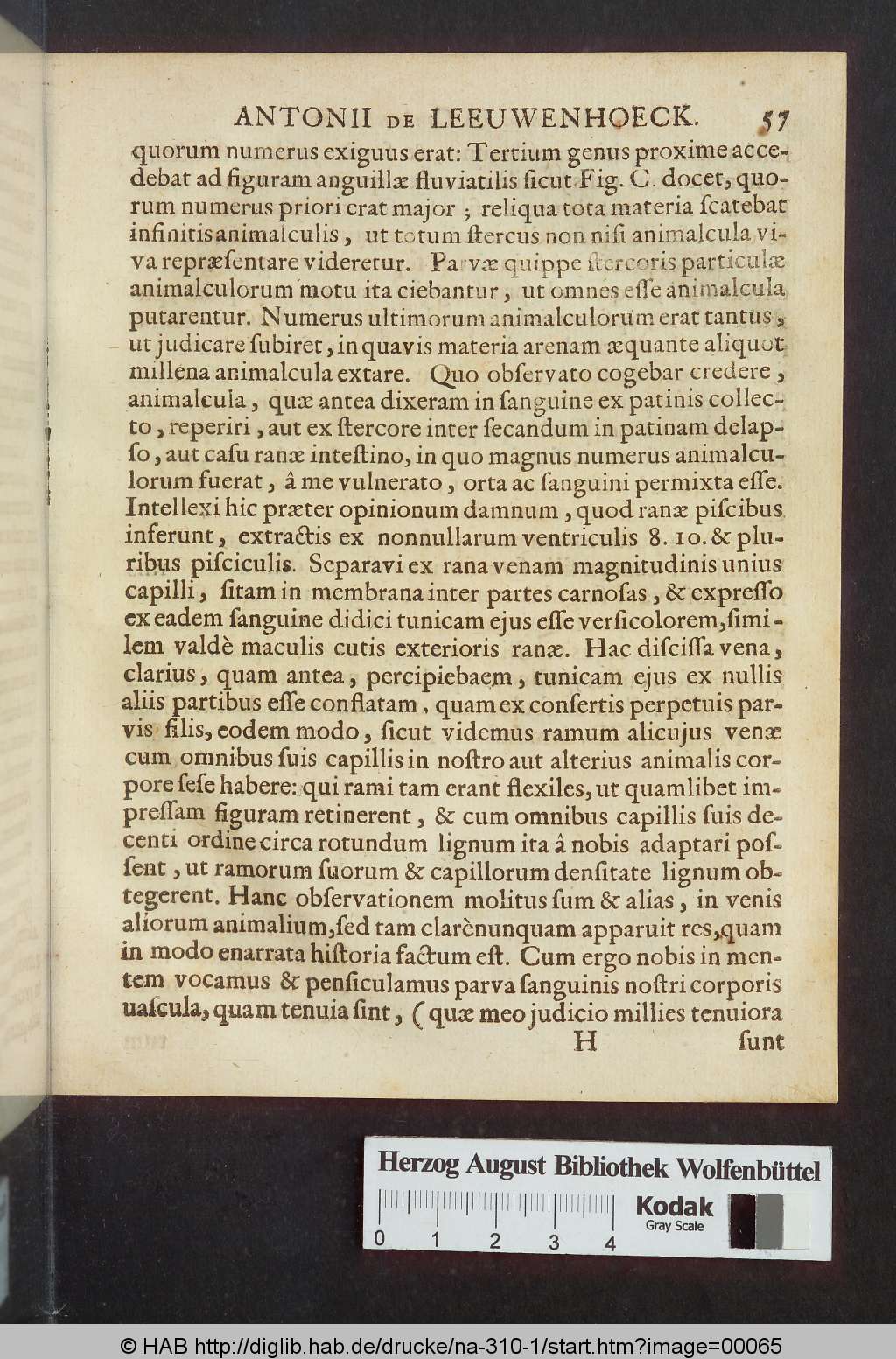 http://diglib.hab.de/drucke/na-310-1/00065.jpg