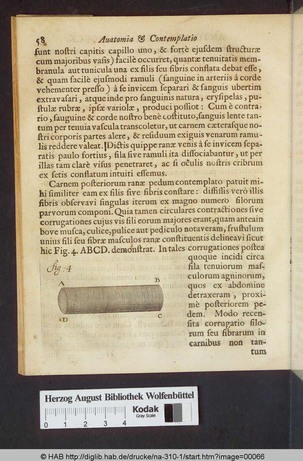 http://diglib.hab.de/drucke/na-310-1/00066.jpg