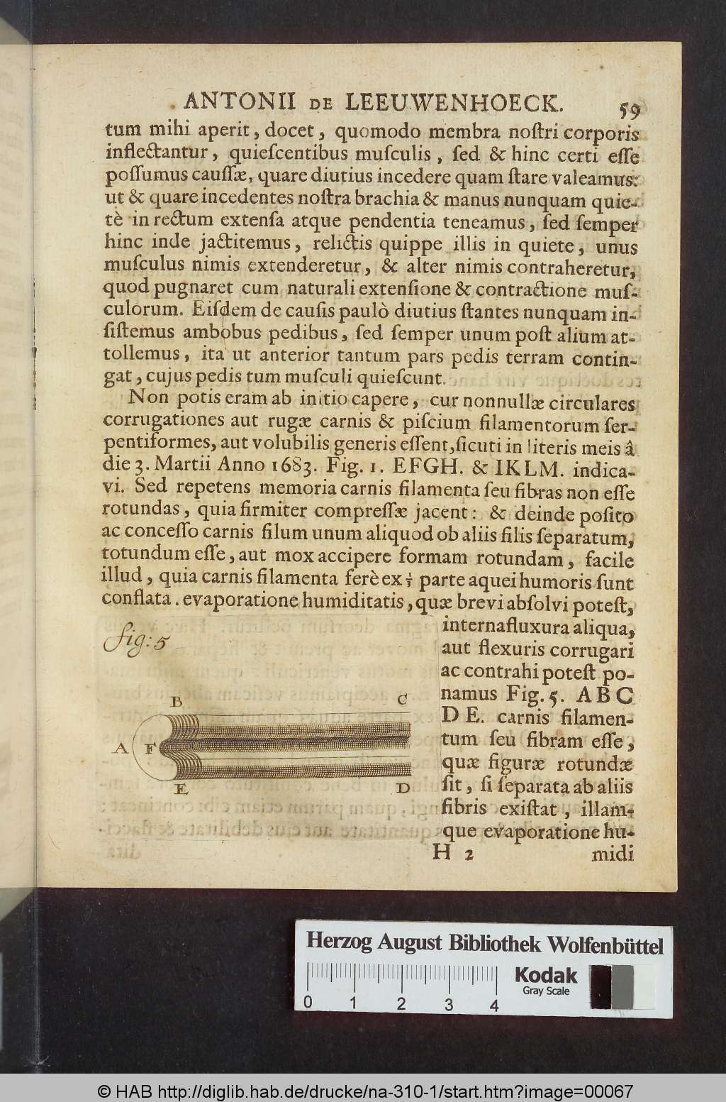 http://diglib.hab.de/drucke/na-310-1/00067.jpg