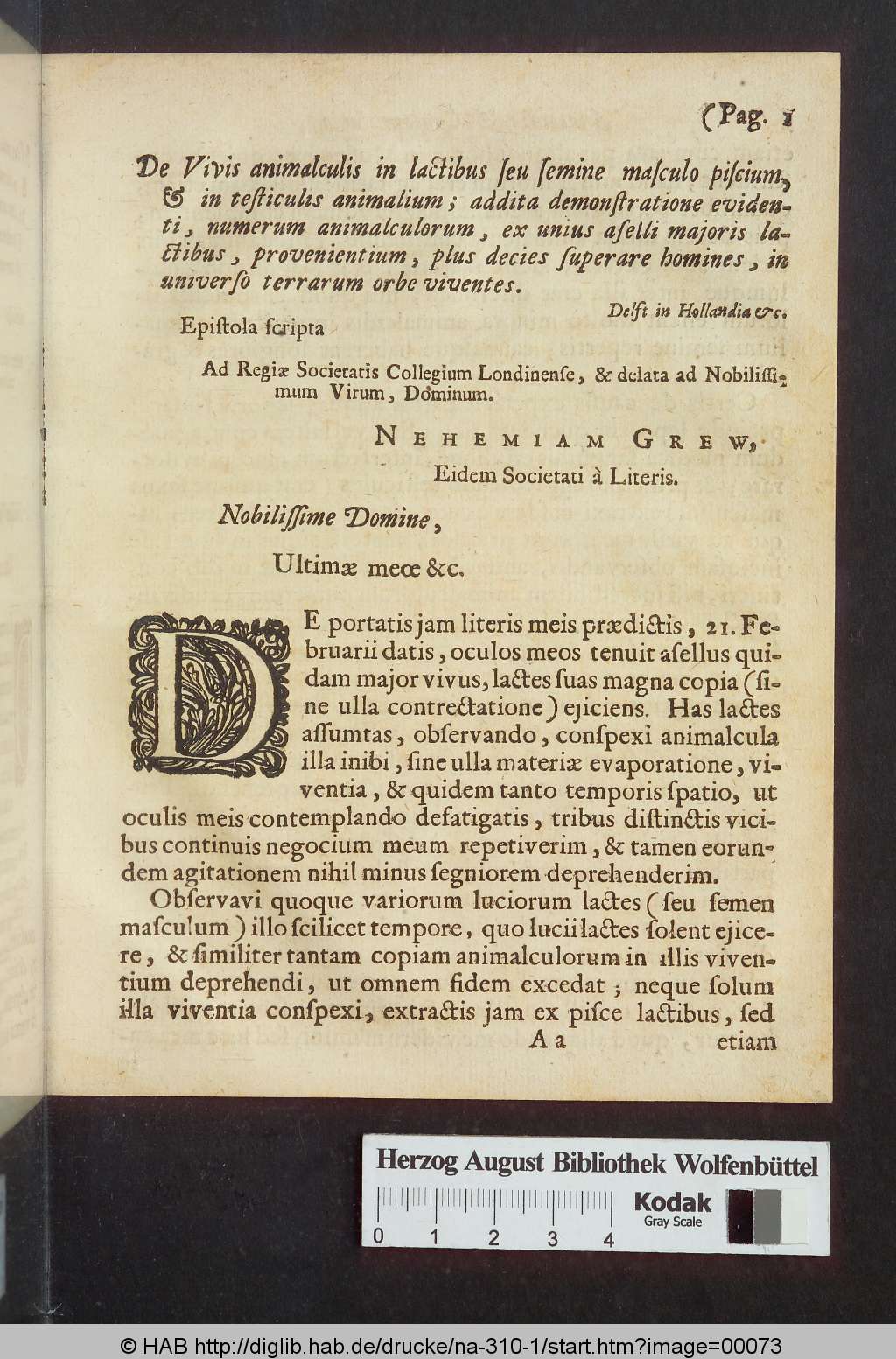 http://diglib.hab.de/drucke/na-310-1/00073.jpg