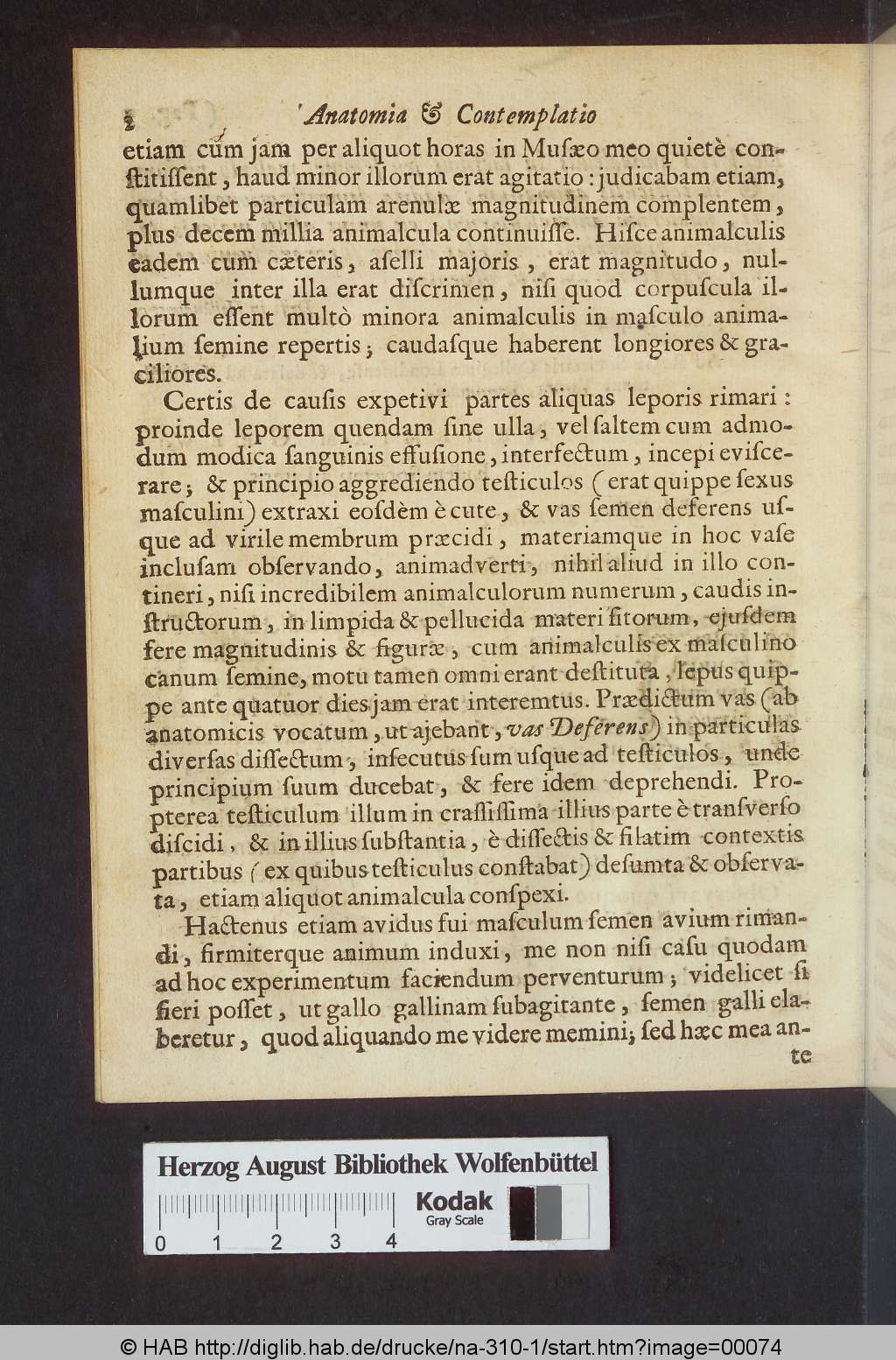http://diglib.hab.de/drucke/na-310-1/00074.jpg