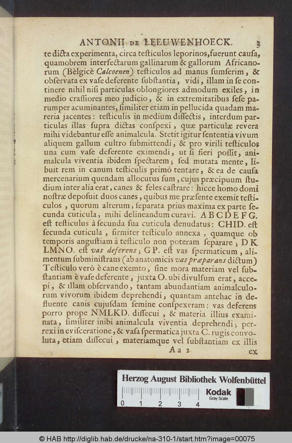 http://diglib.hab.de/drucke/na-310-1/00075.jpg