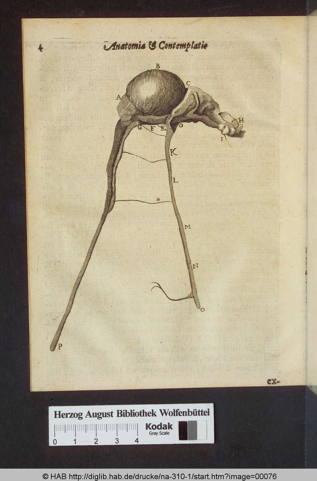 http://diglib.hab.de/drucke/na-310-1/00076.jpg