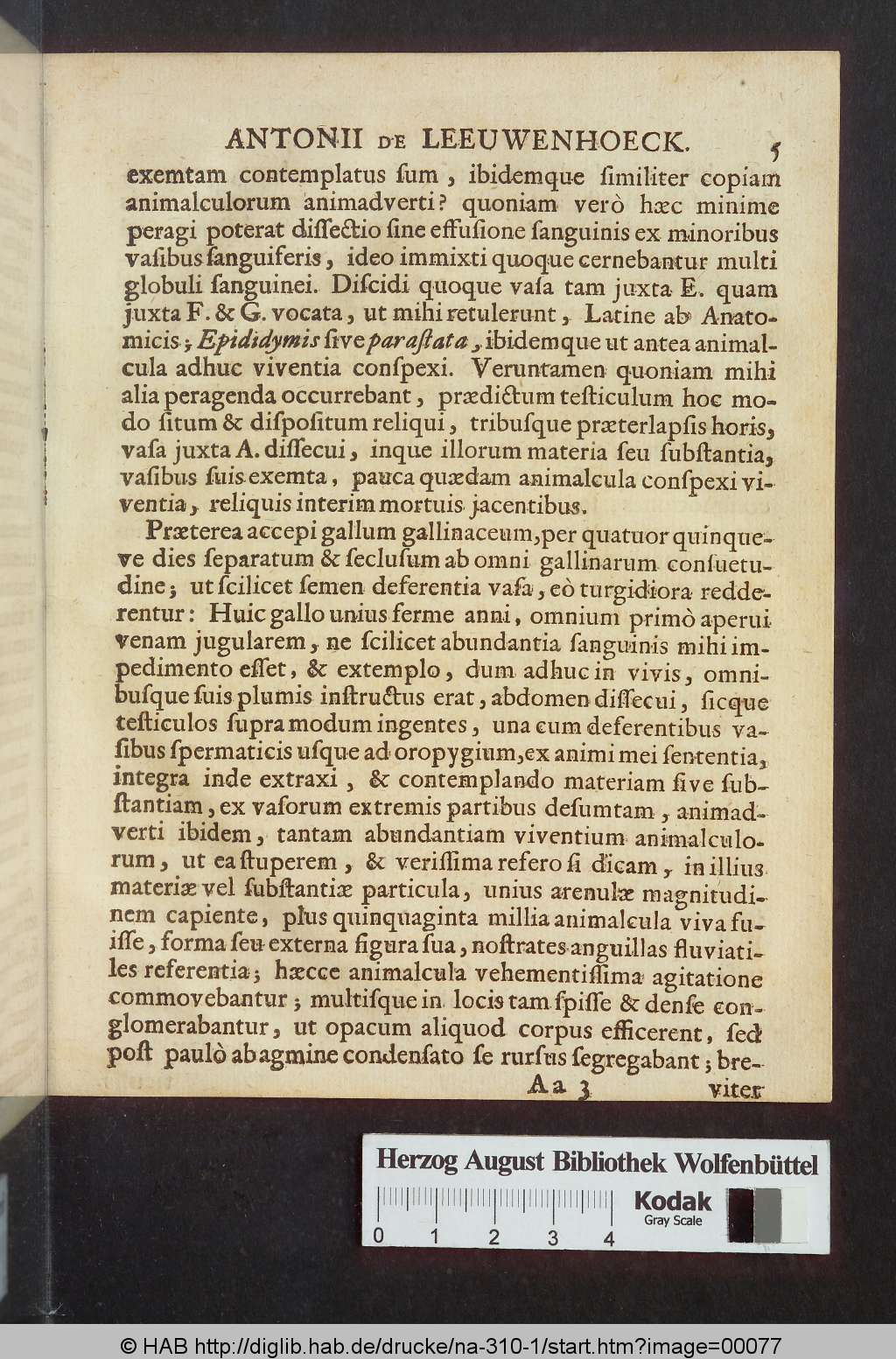 http://diglib.hab.de/drucke/na-310-1/00077.jpg