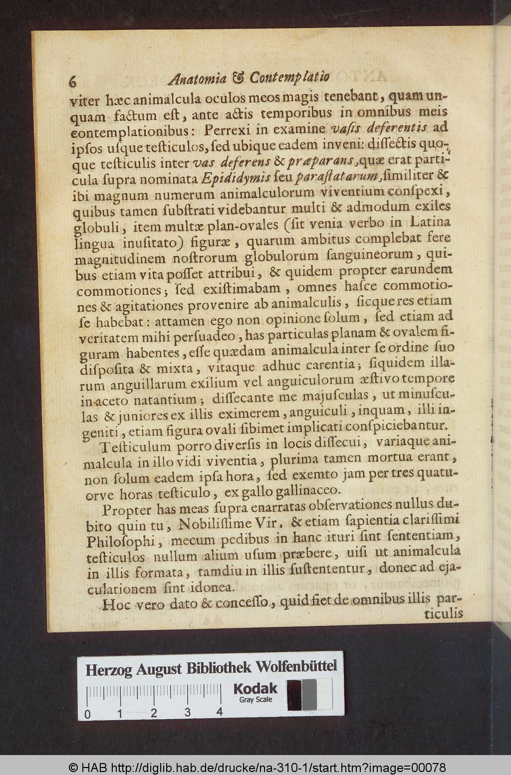 http://diglib.hab.de/drucke/na-310-1/00078.jpg