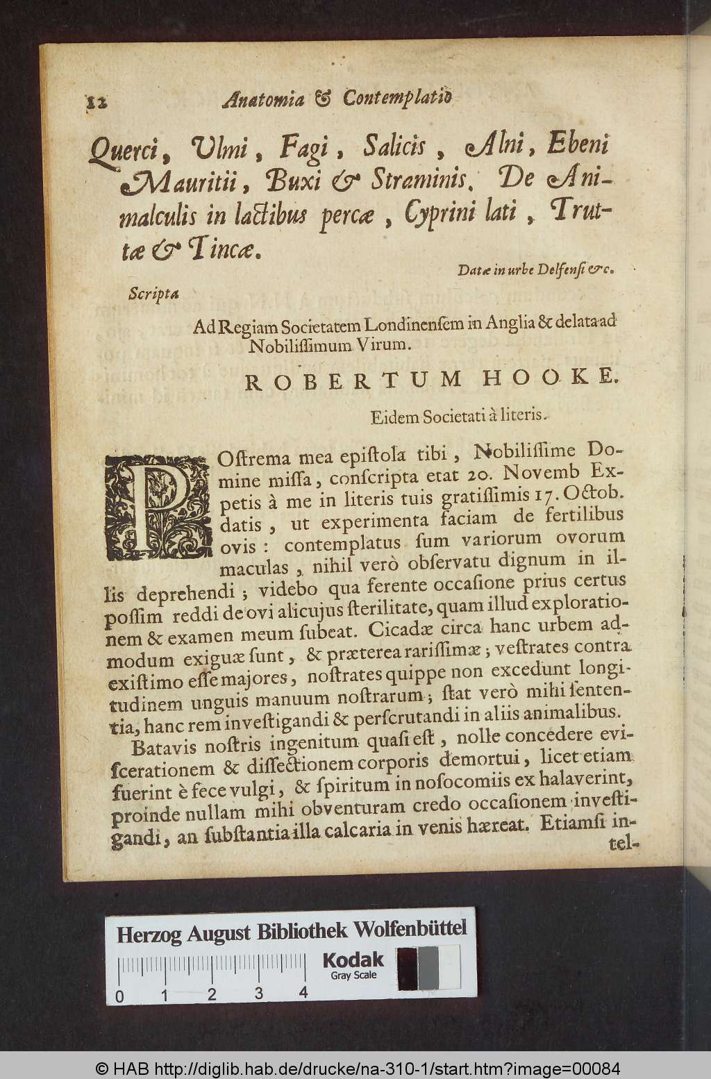 http://diglib.hab.de/drucke/na-310-1/00084.jpg
