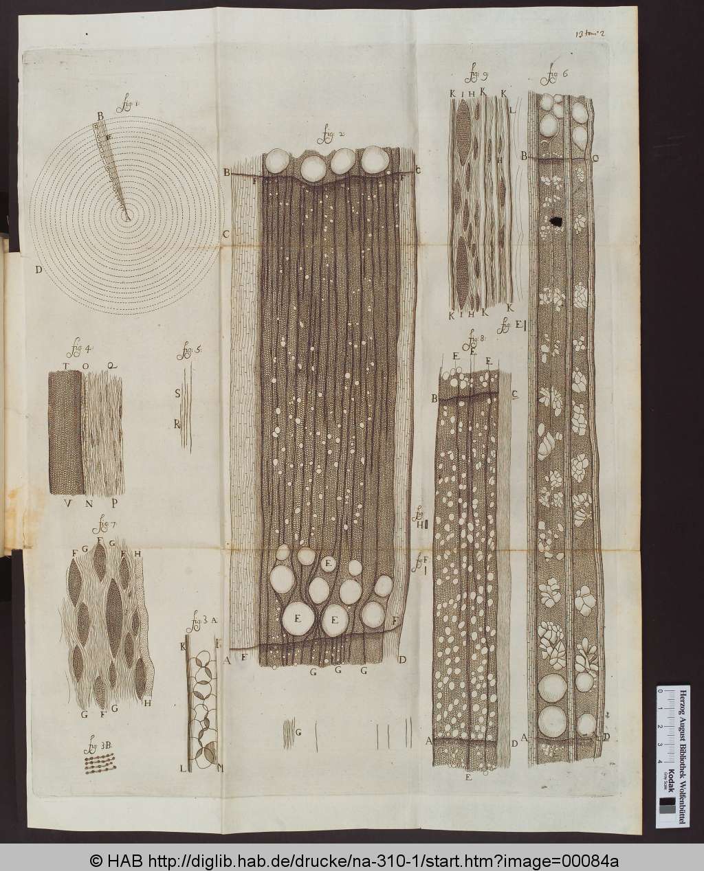 http://diglib.hab.de/drucke/na-310-1/00084a.jpg