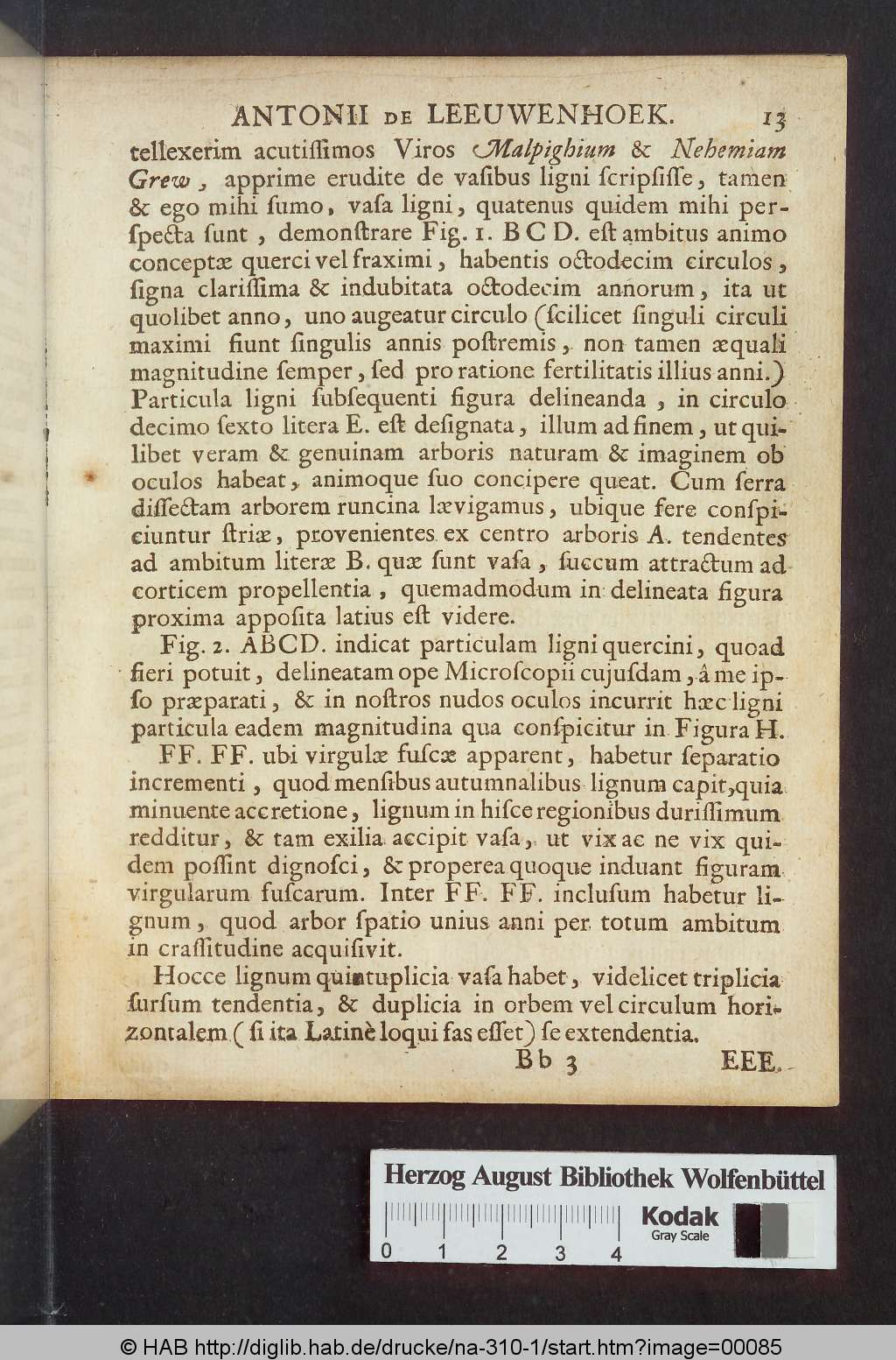 http://diglib.hab.de/drucke/na-310-1/00085.jpg