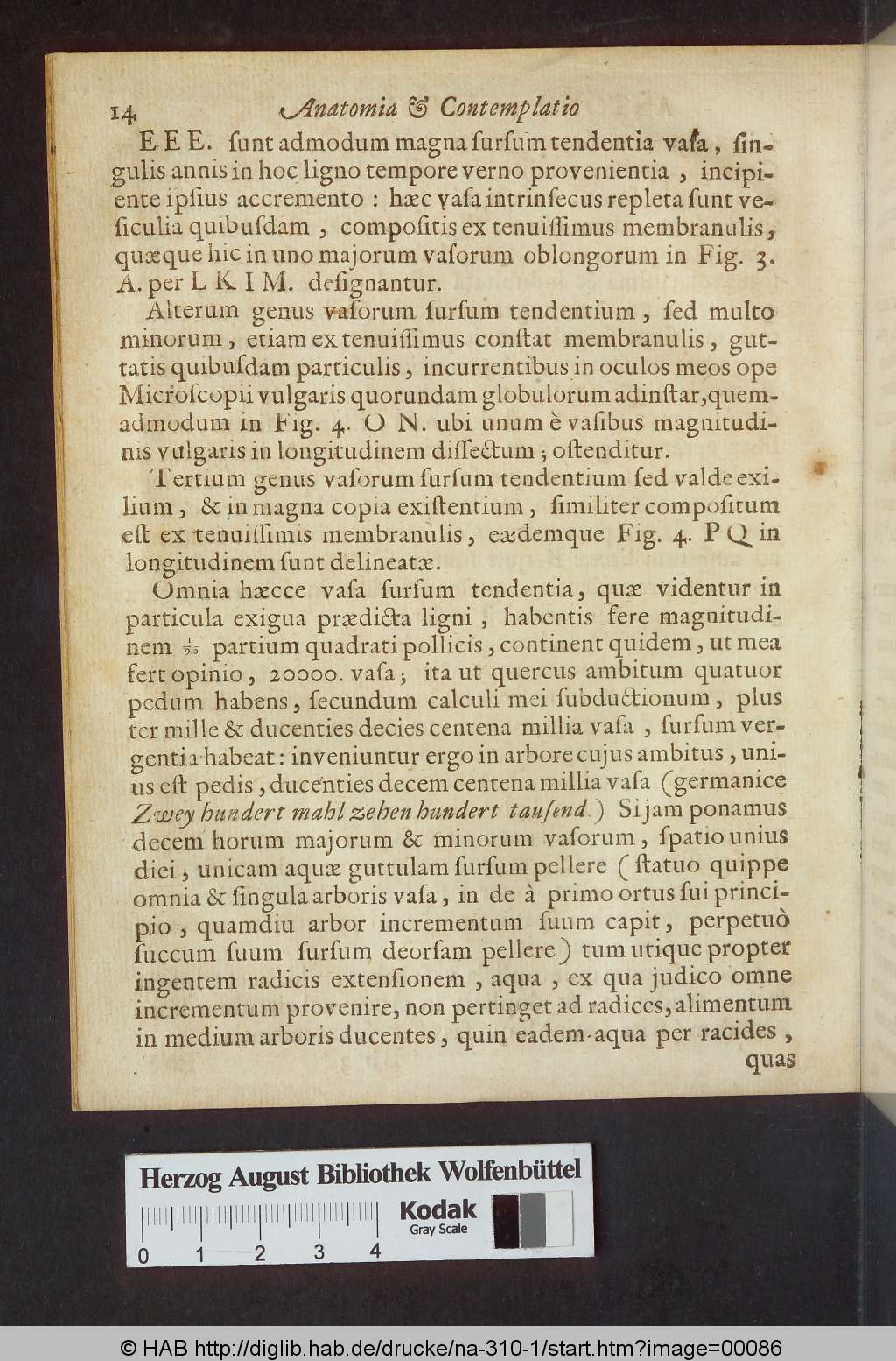 http://diglib.hab.de/drucke/na-310-1/00086.jpg