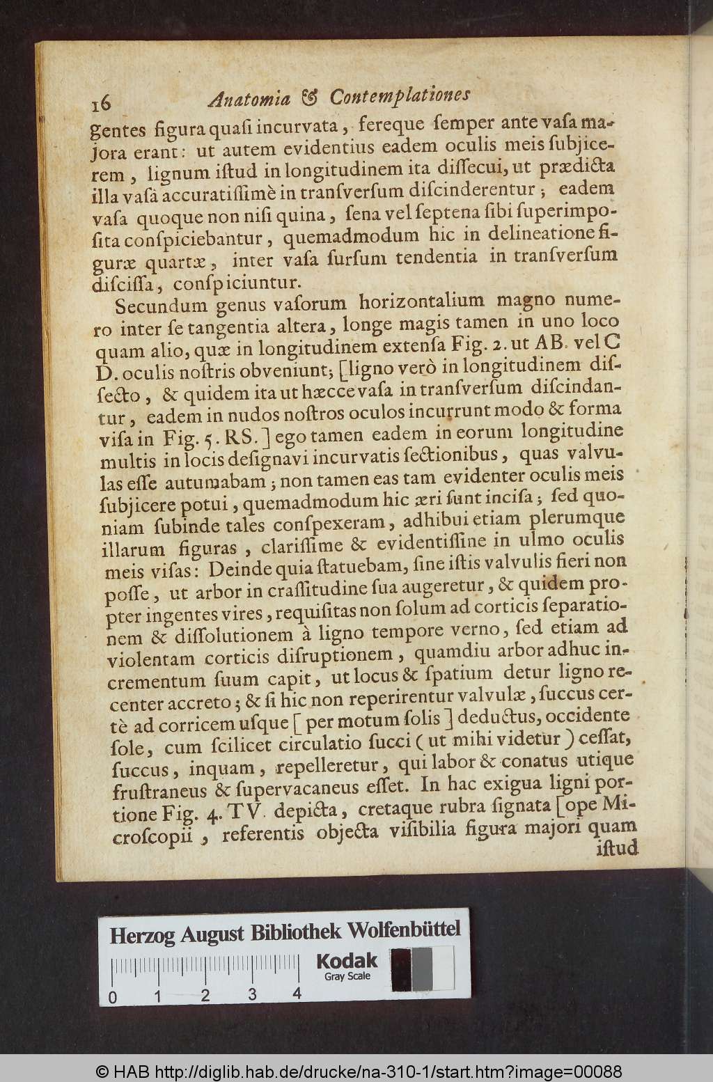 http://diglib.hab.de/drucke/na-310-1/00088.jpg