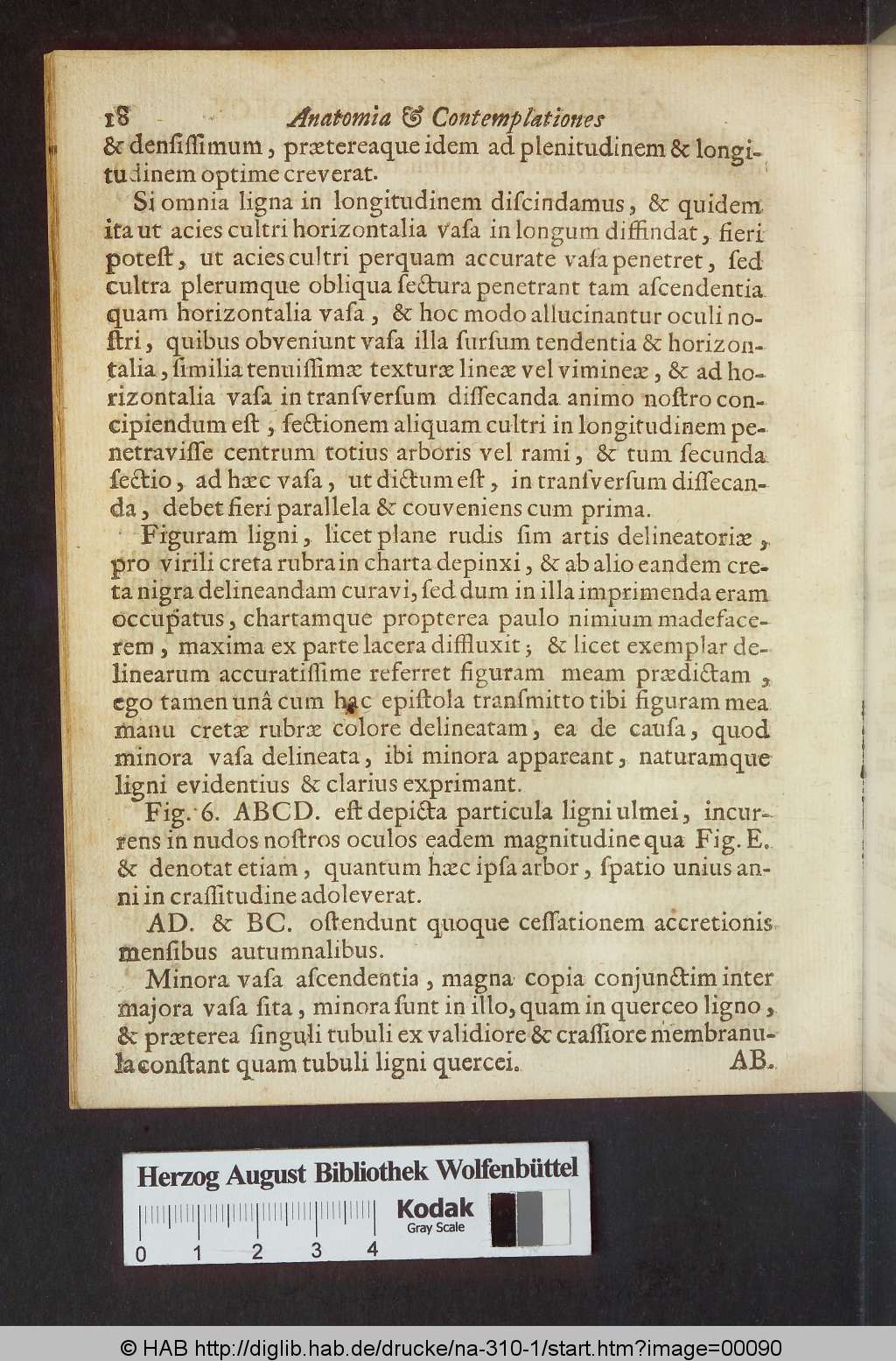 http://diglib.hab.de/drucke/na-310-1/00090.jpg