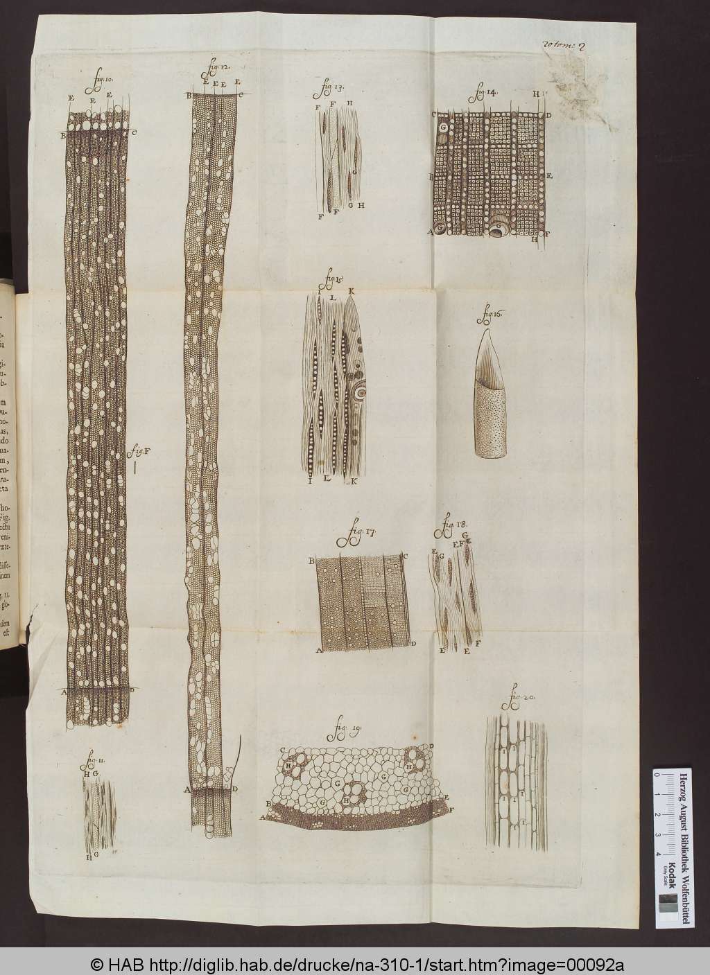 http://diglib.hab.de/drucke/na-310-1/00092a.jpg