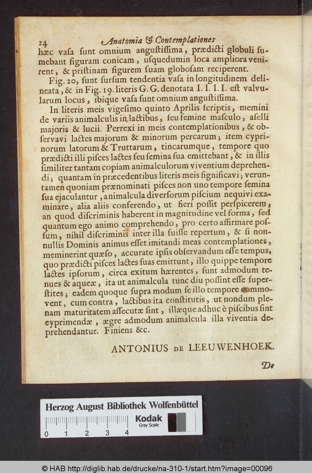 http://diglib.hab.de/drucke/na-310-1/00096.jpg