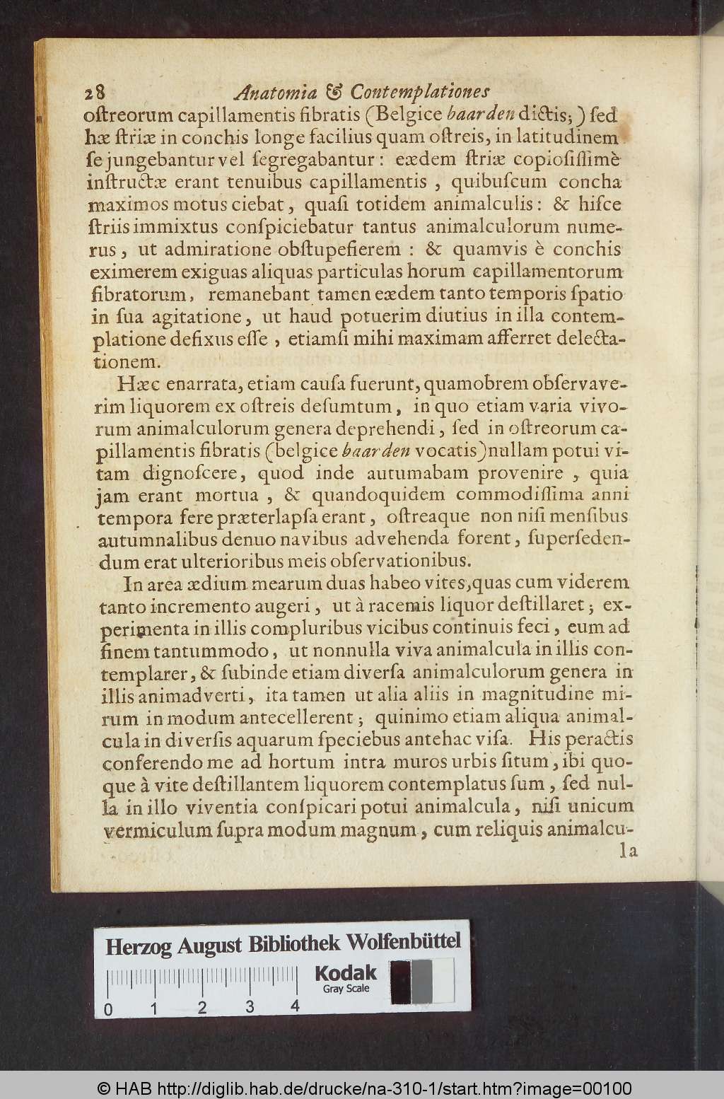 http://diglib.hab.de/drucke/na-310-1/00100.jpg